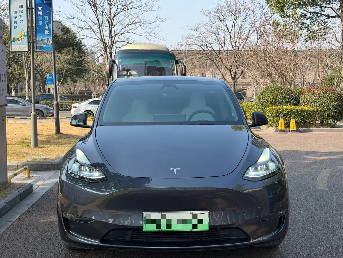 Tesla Model Y  из Китая