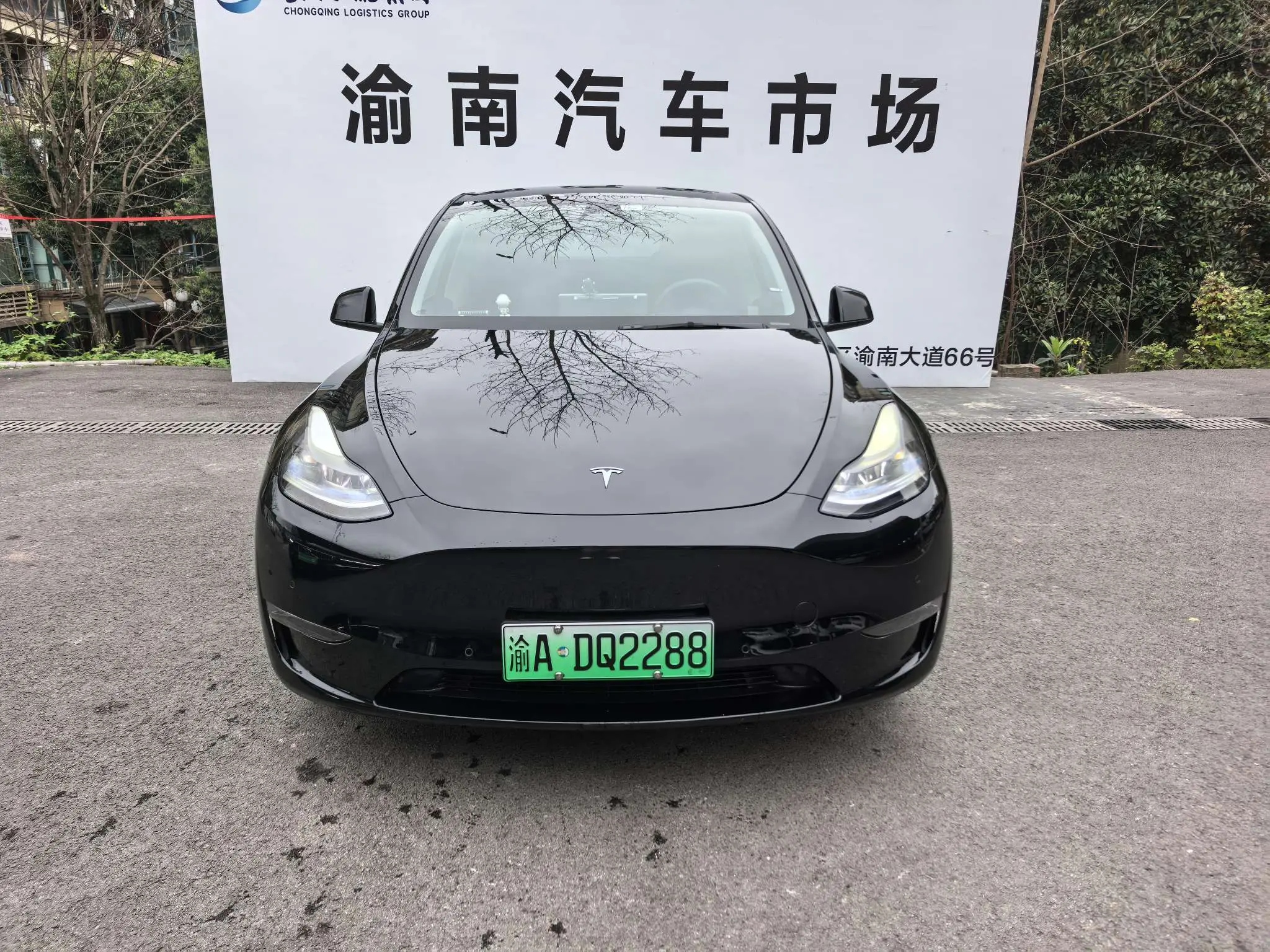 Tesla Model Y  из Китая