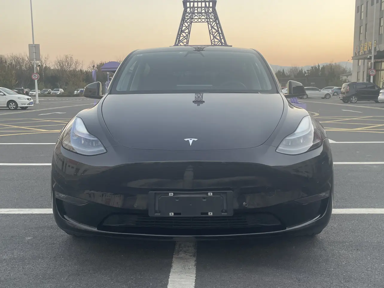Tesla Model Y  из Китая