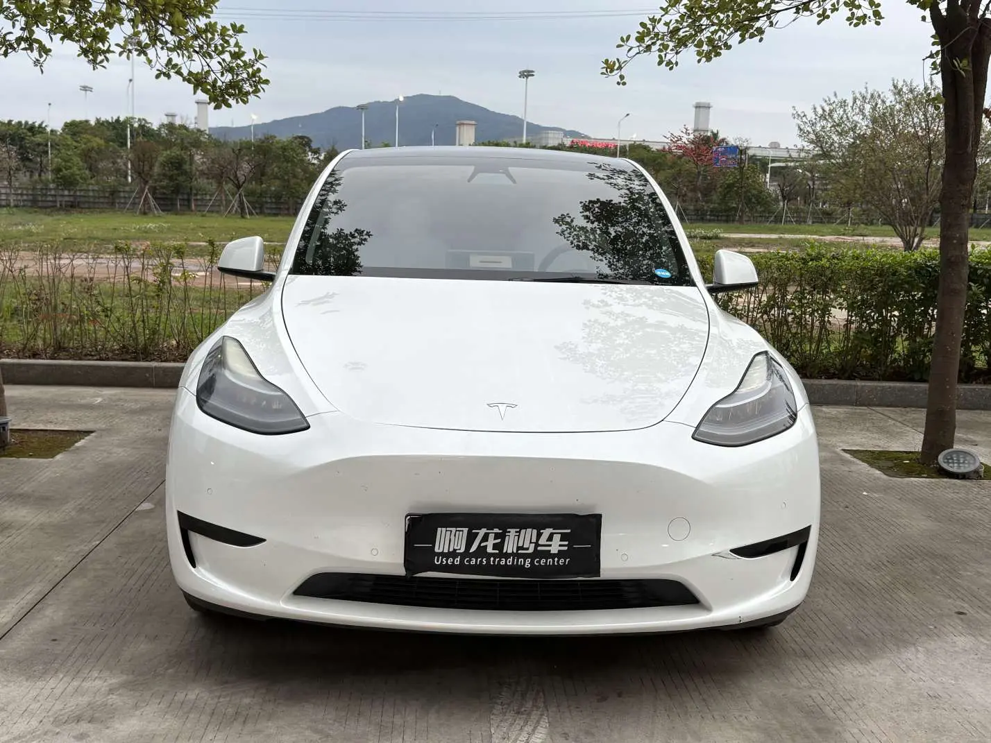 Tesla Model Y  из Китая