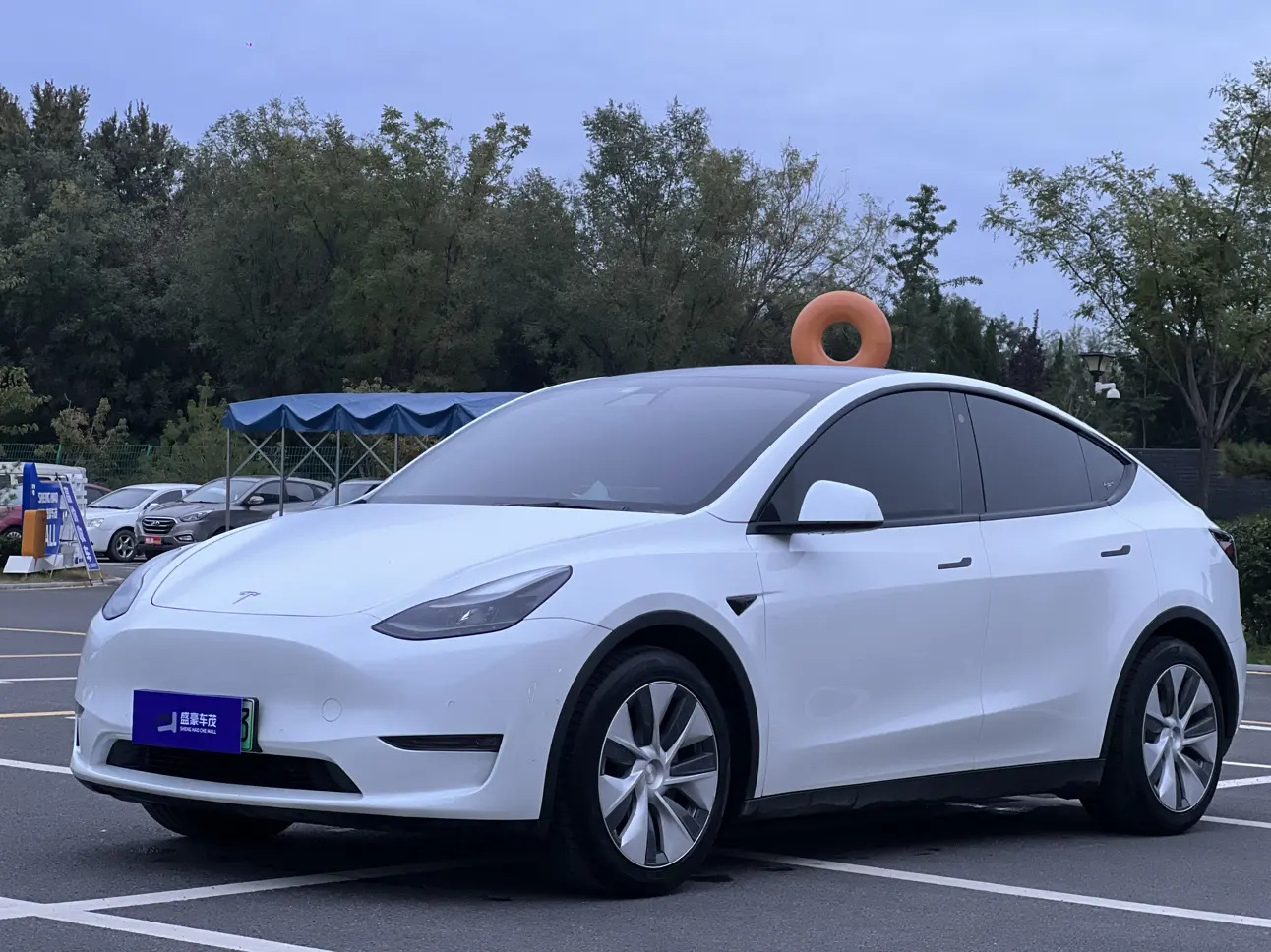 Tesla Model Y  из Китая
