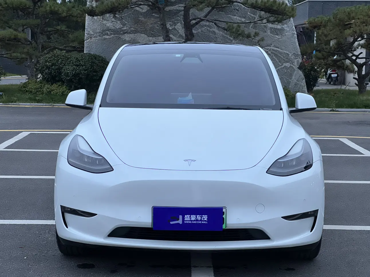 Tesla Model Y  из Китая