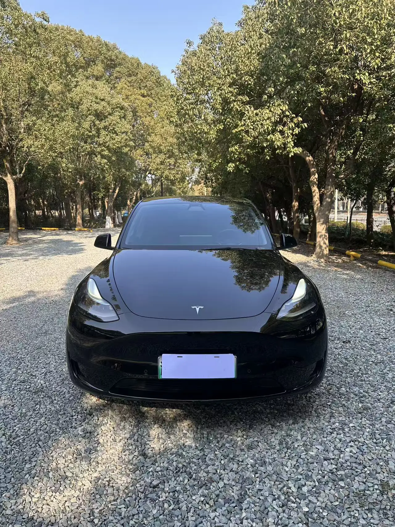Tesla Model Y  из Китая