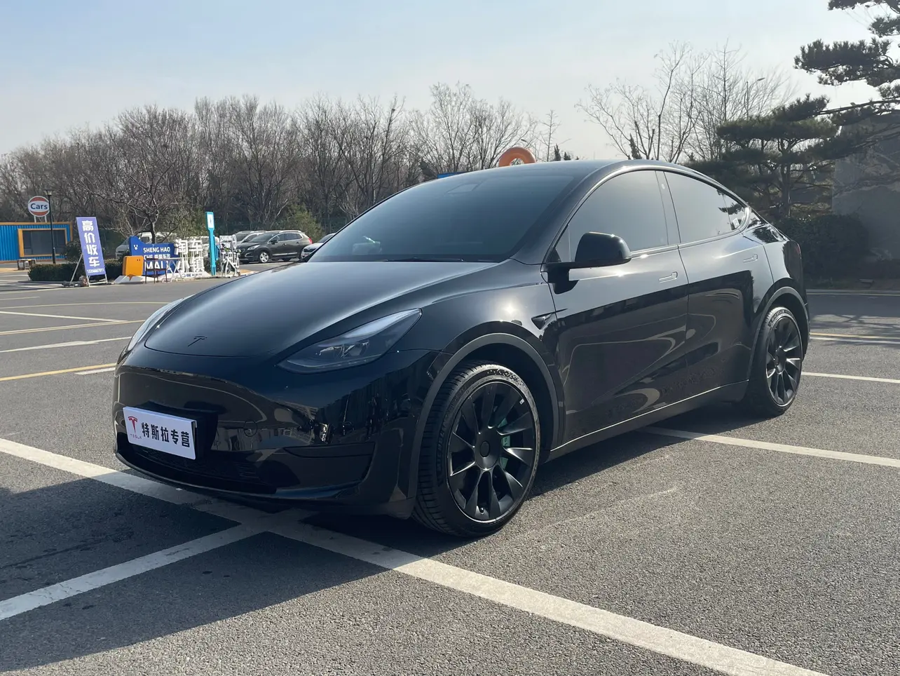Tesla Model Y  из Китая