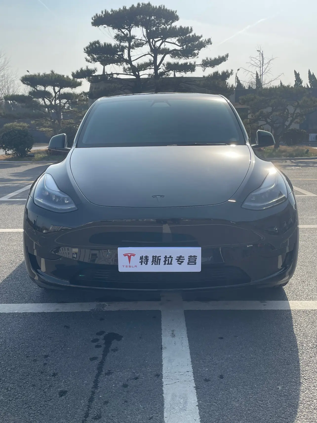 Tesla Model Y  из Китая
