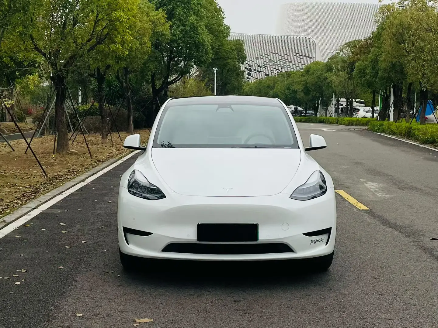Tesla Model Y  из Китая