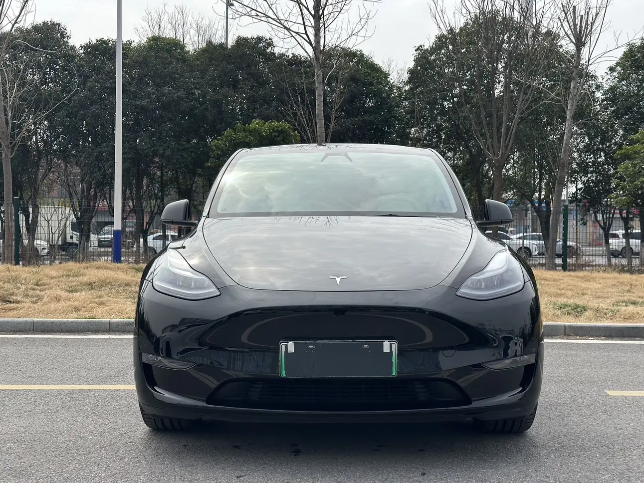 Tesla Model Y  из Китая