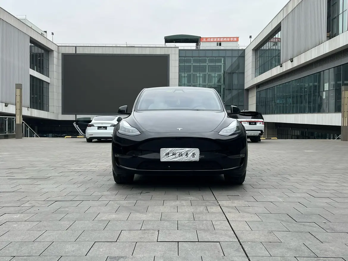 Tesla Model Y  из Китая