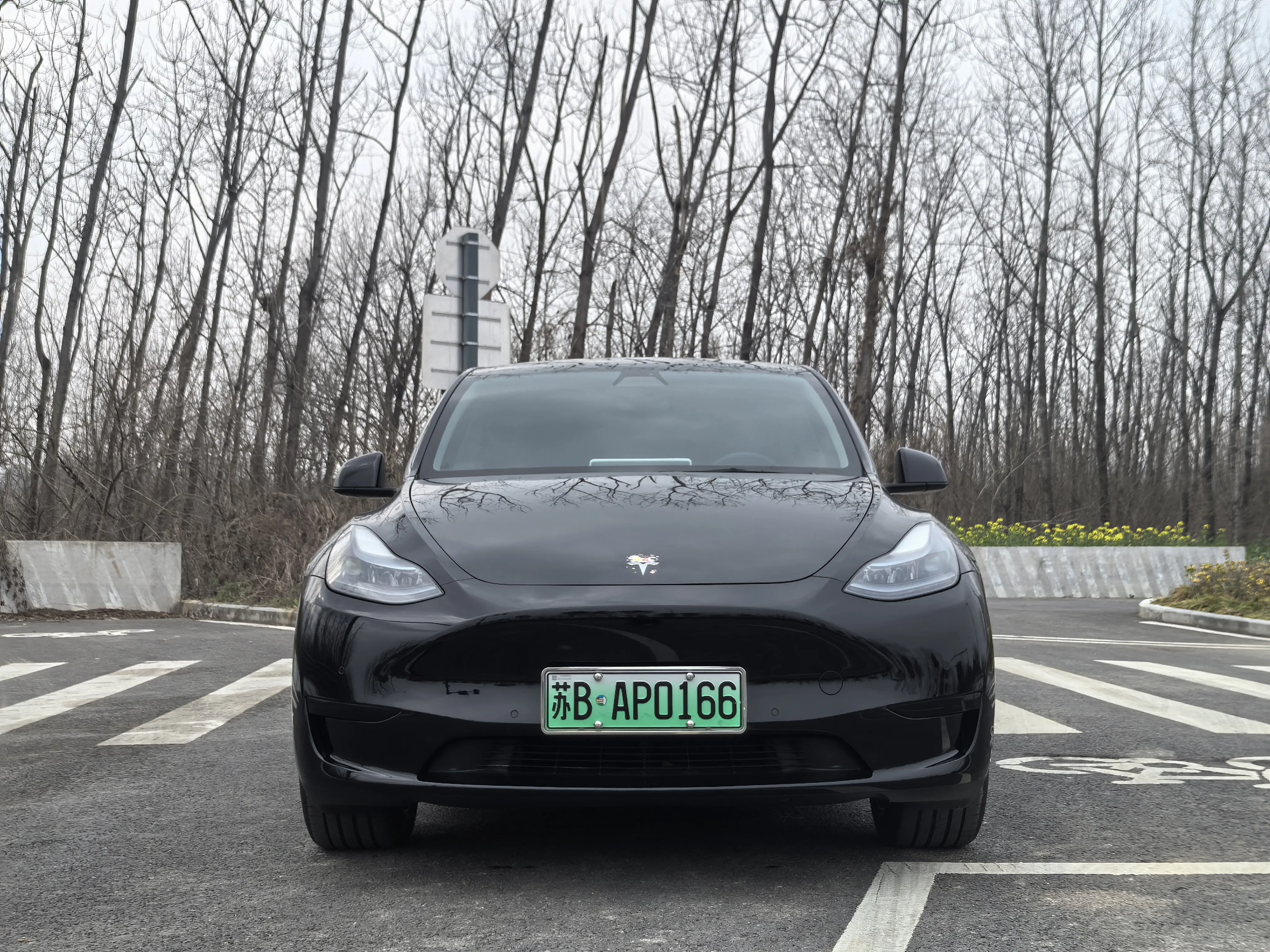 Tesla Model Y  из Китая