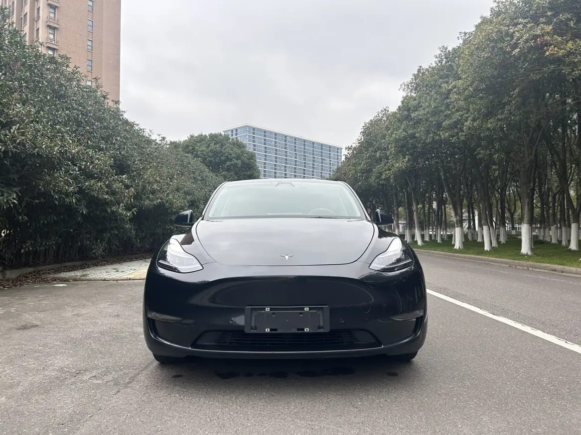 Tesla Model Y  из Китая