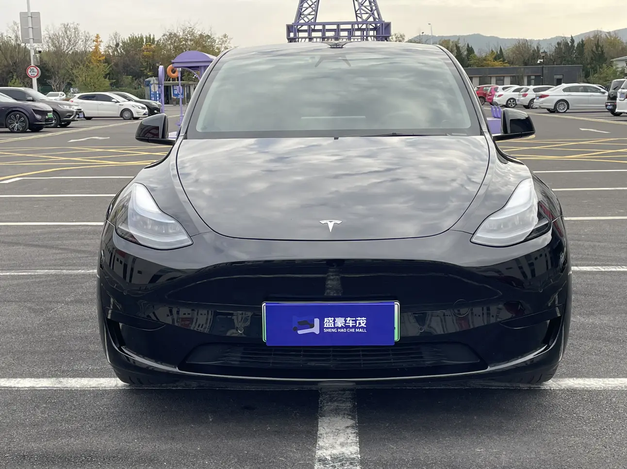 Tesla Model Y  из Китая