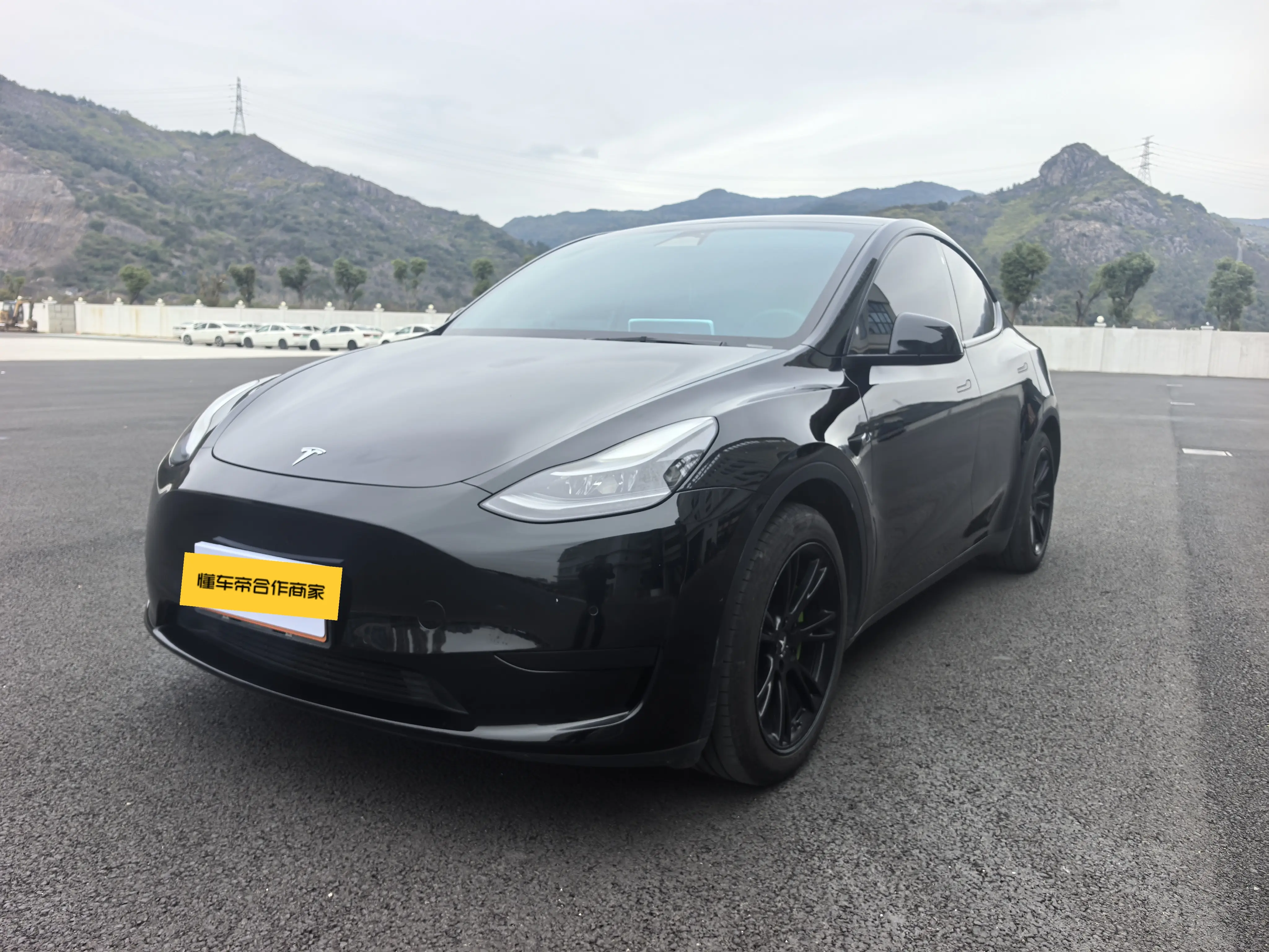 Tesla Model Y  из Китая