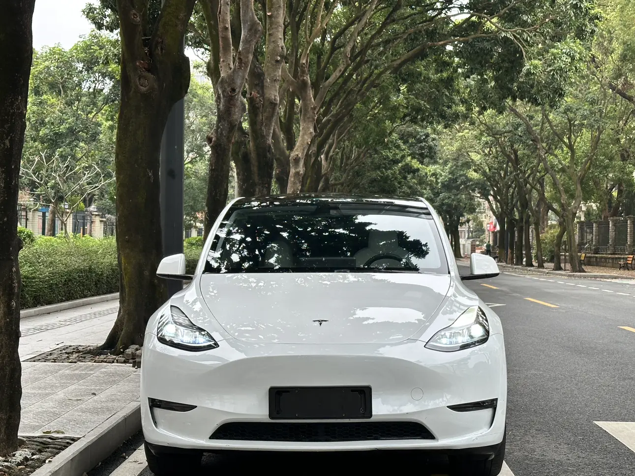 Tesla Model Y  из Китая