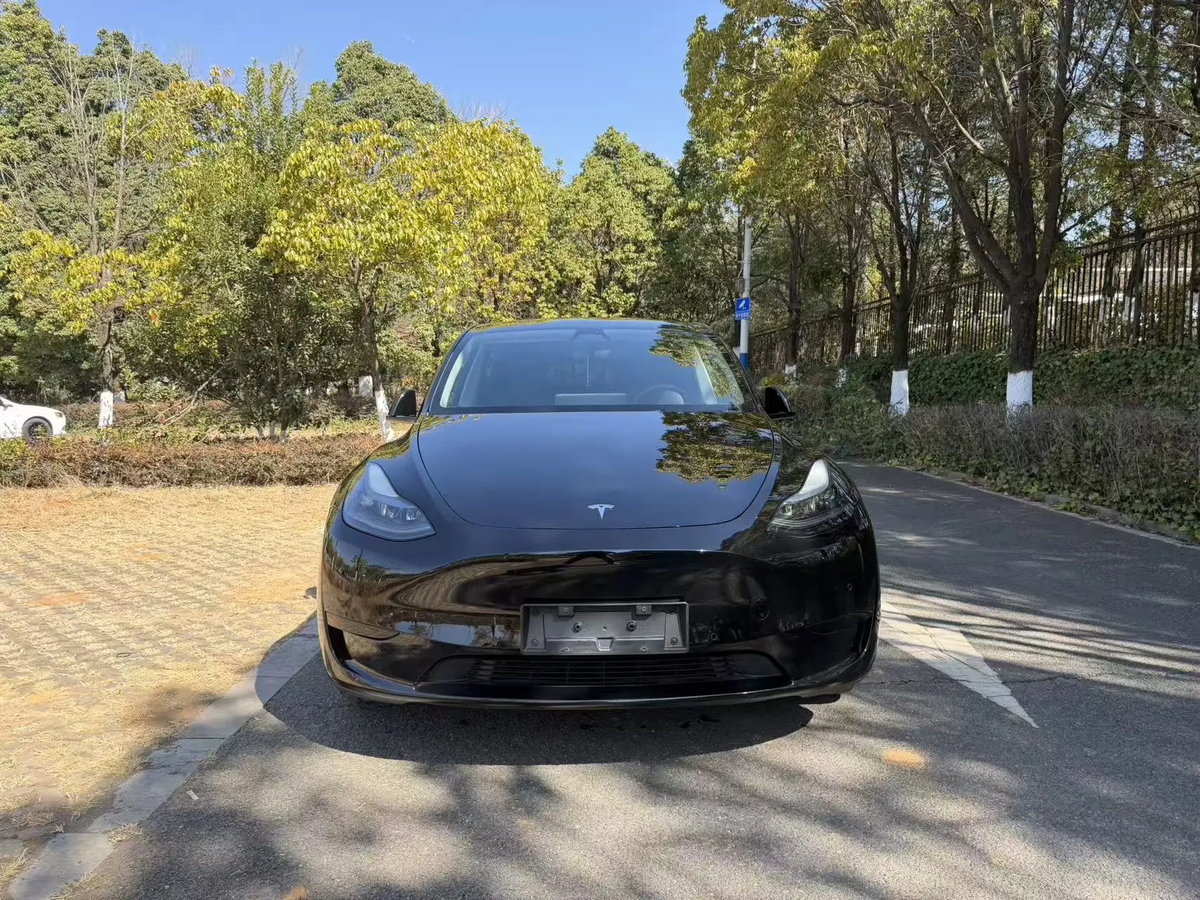 Tesla Model Y  из Китая