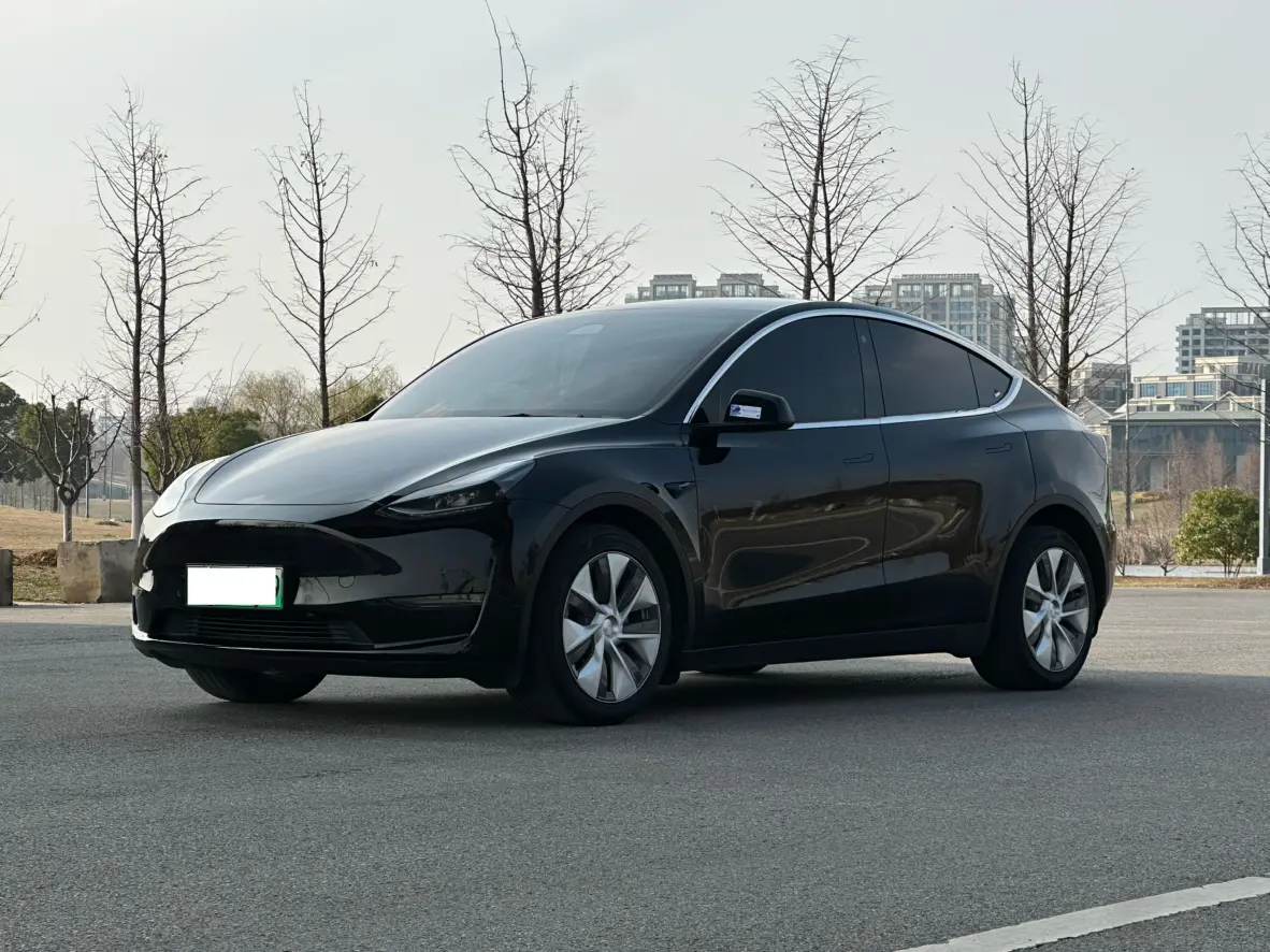 Tesla Model Y  из Китая