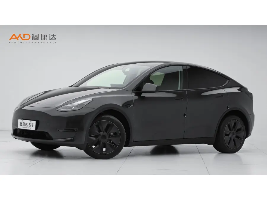 Tesla Model Y  из Китая