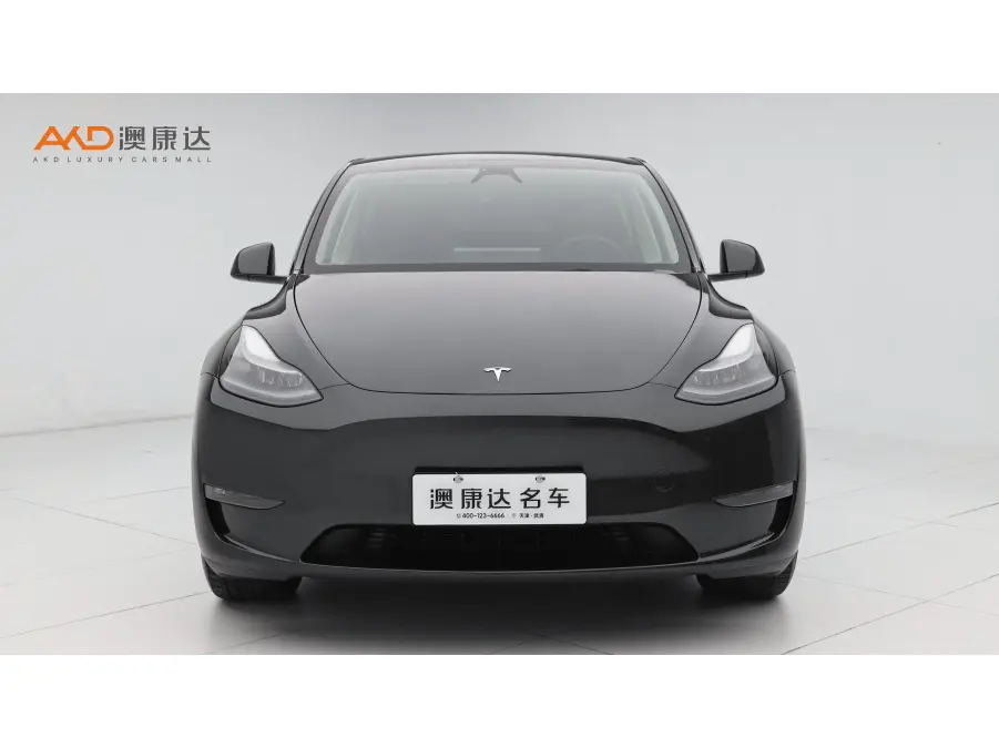 Tesla Model Y  из Китая