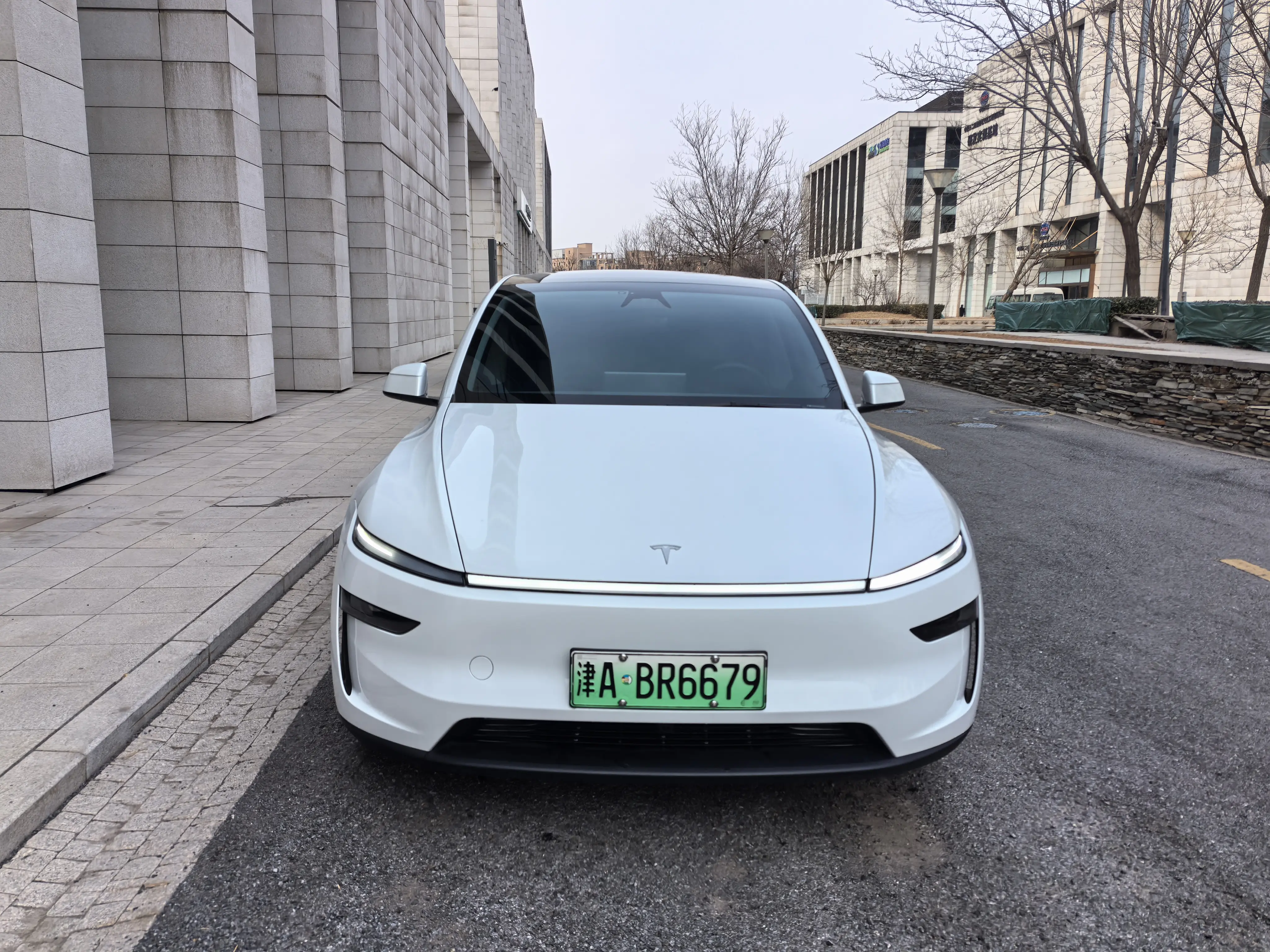 Tesla Model Y  из Китая