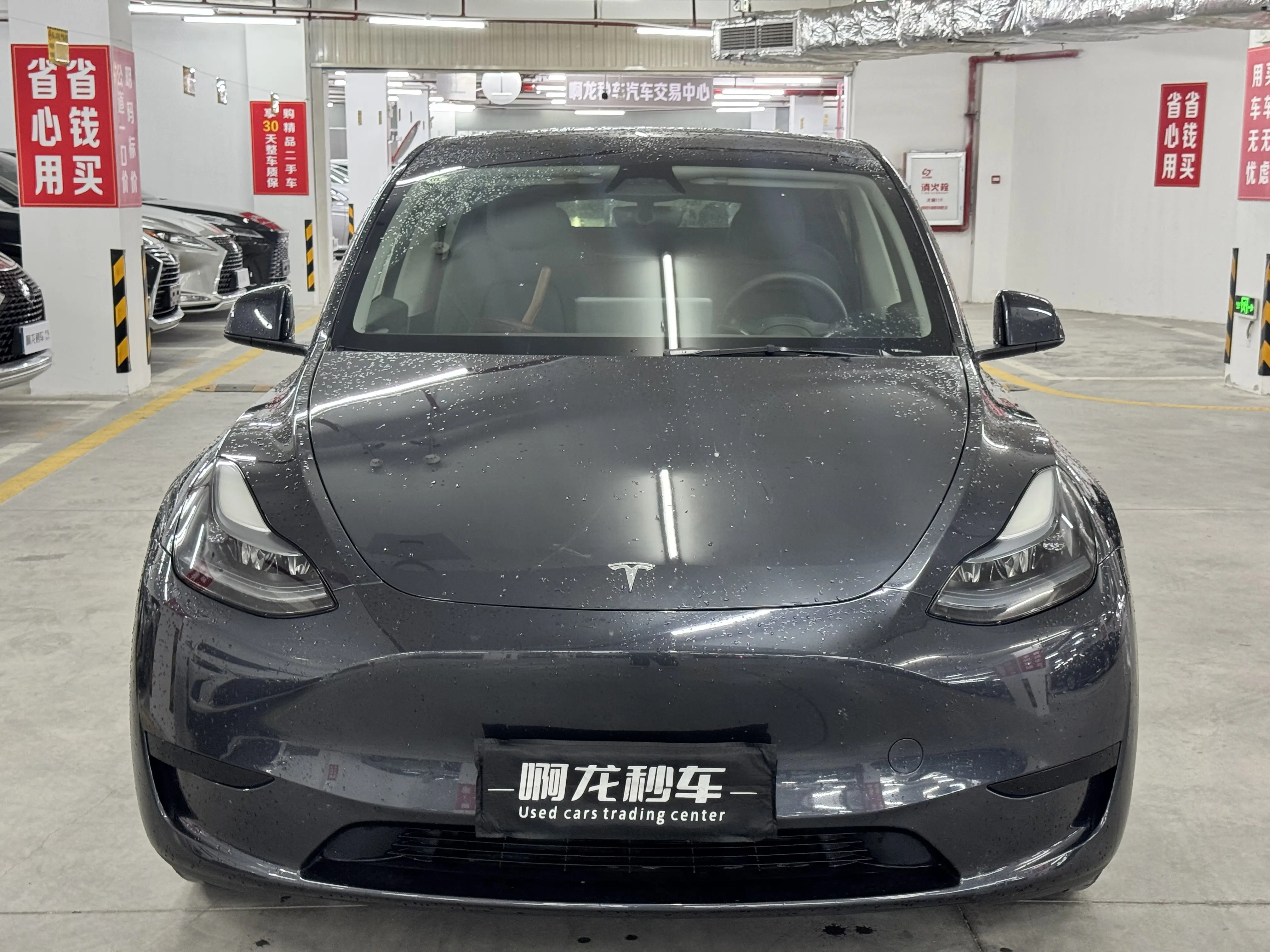 Tesla Model Y  из Китая