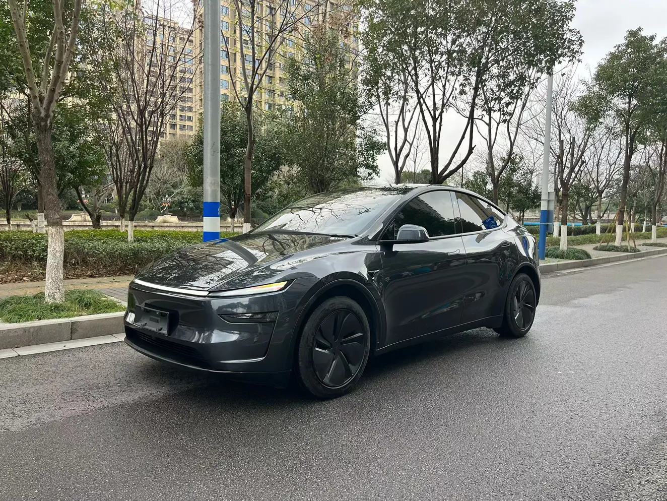 Tesla Model Y  из Китая