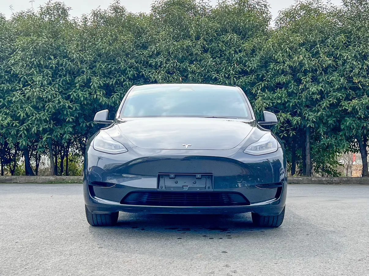 Tesla Model Y  из Китая