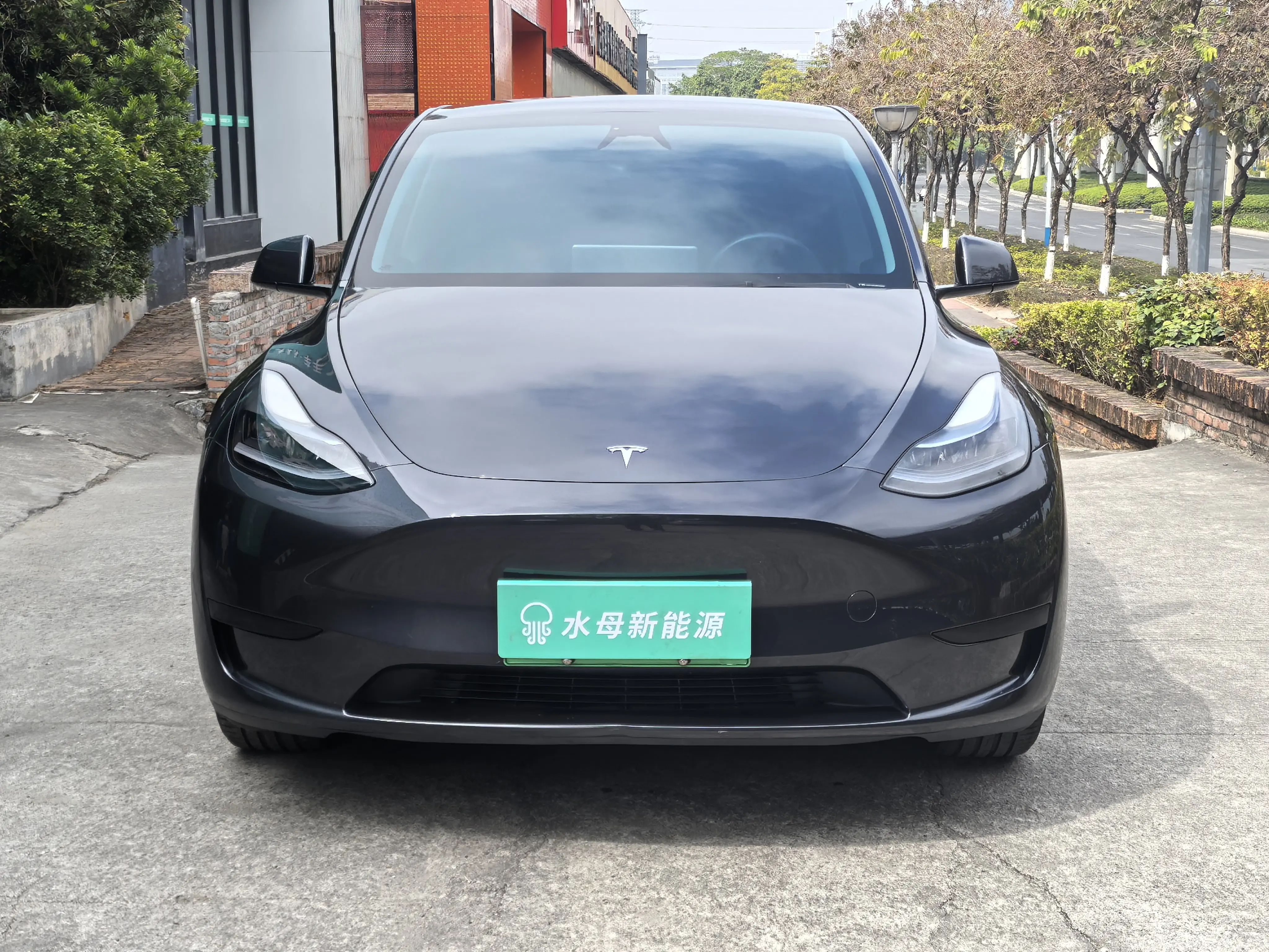 Tesla Model Y  из Китая
