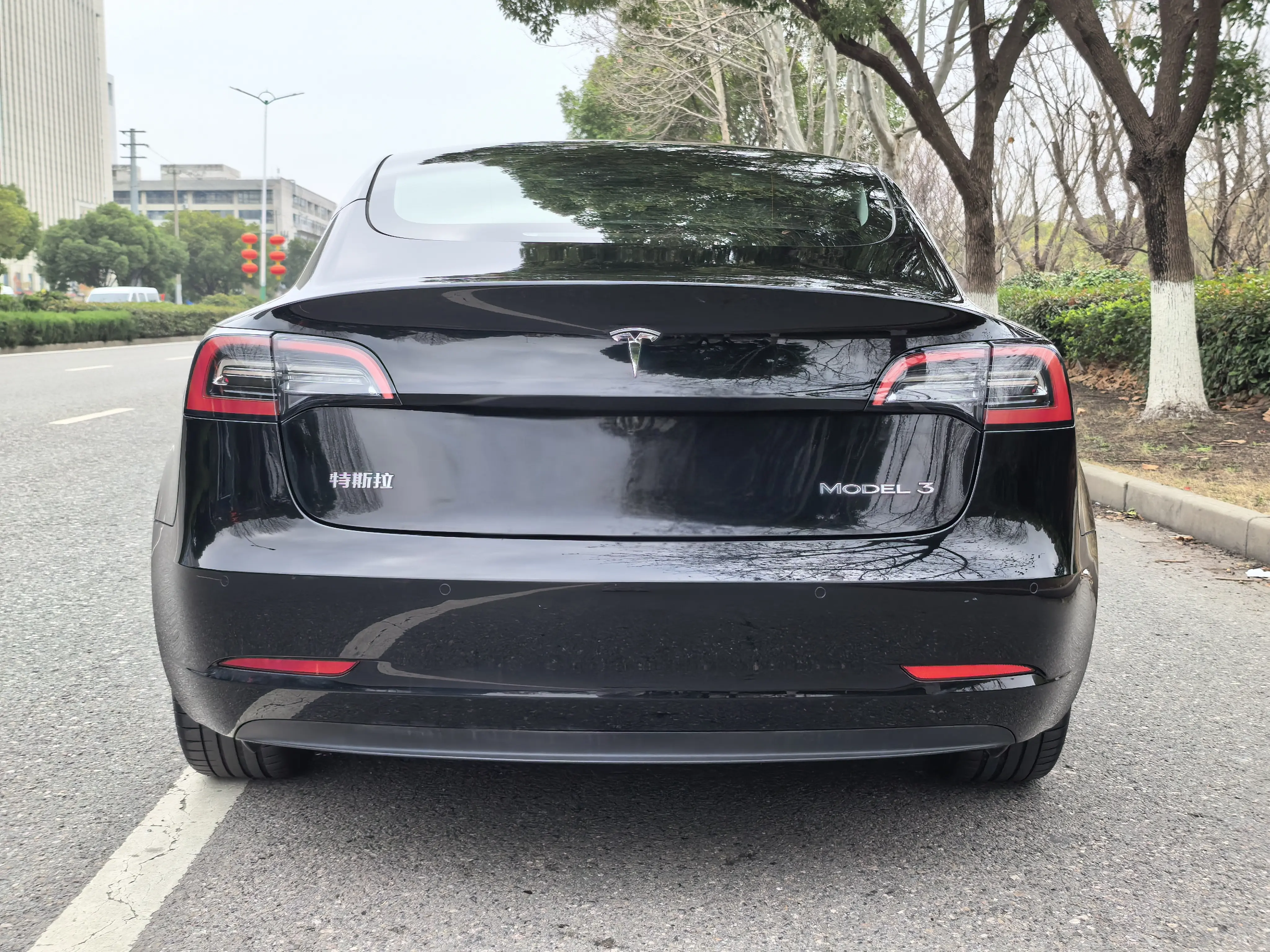 Tesla Model 3  из Китая