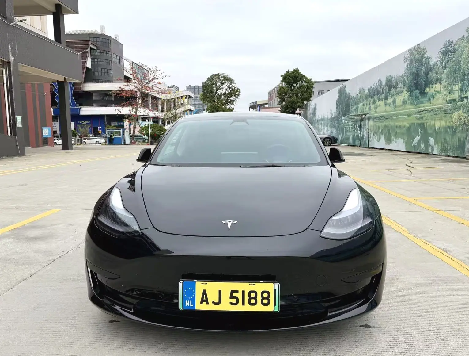 Tesla Model 3  из Китая