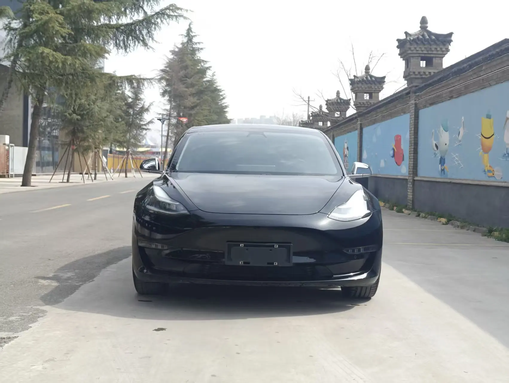 Tesla Model 3  из Китая