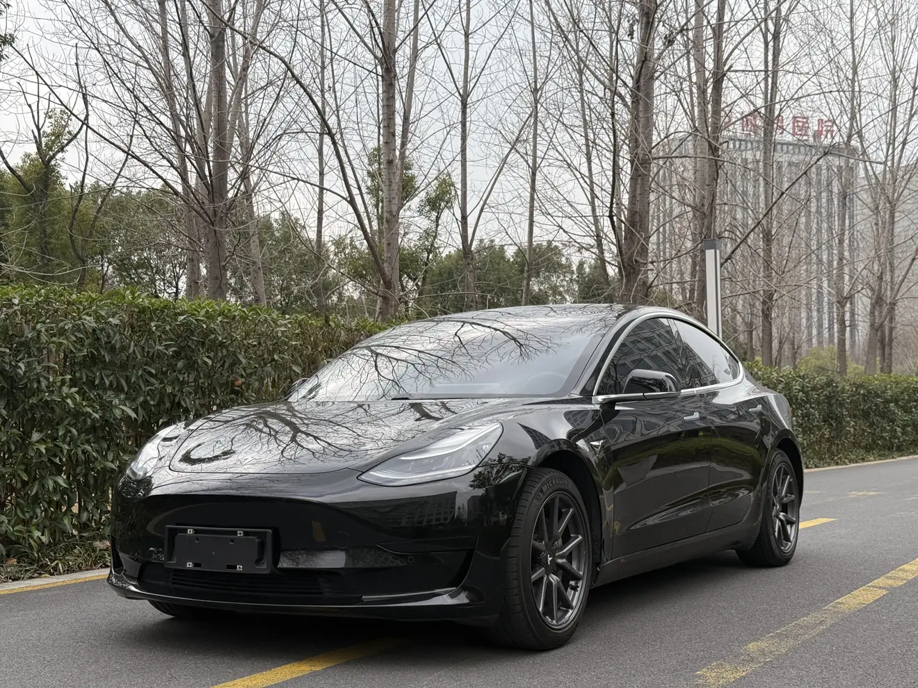 Tesla Model 3  из Китая