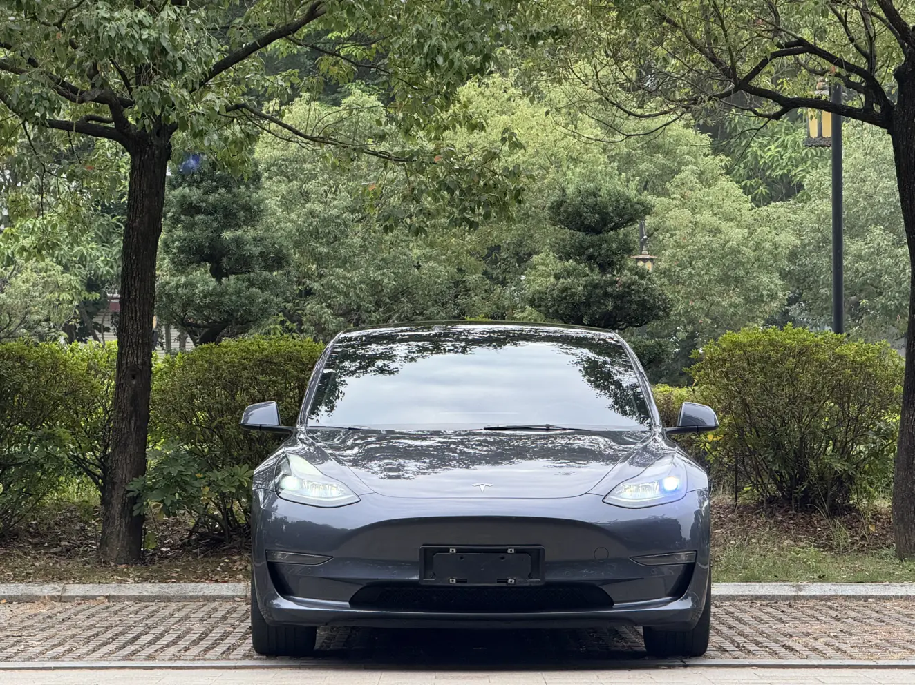 Tesla Model 3  из Китая