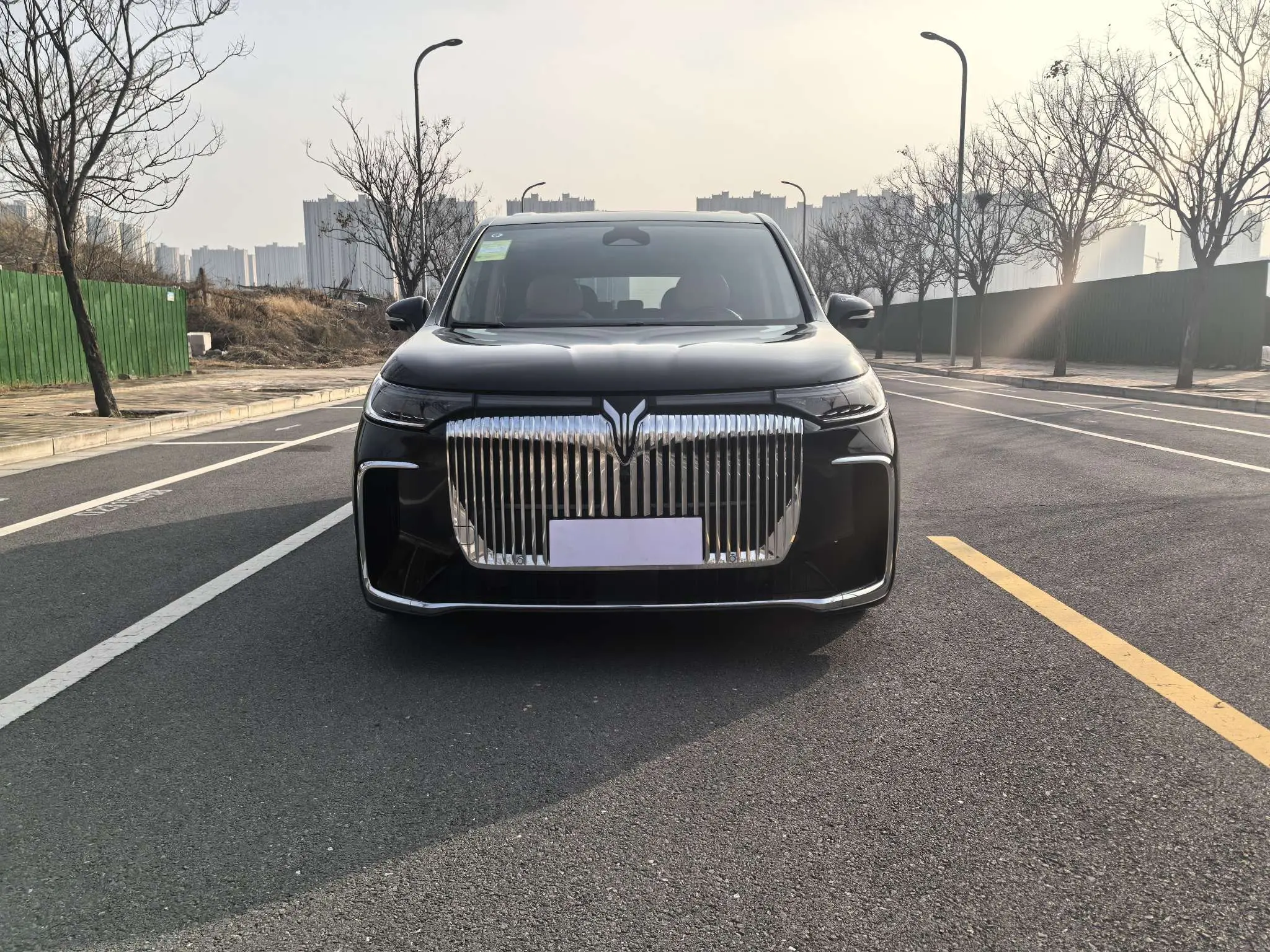 Voyah Lantu Dreamer EV  из Китая