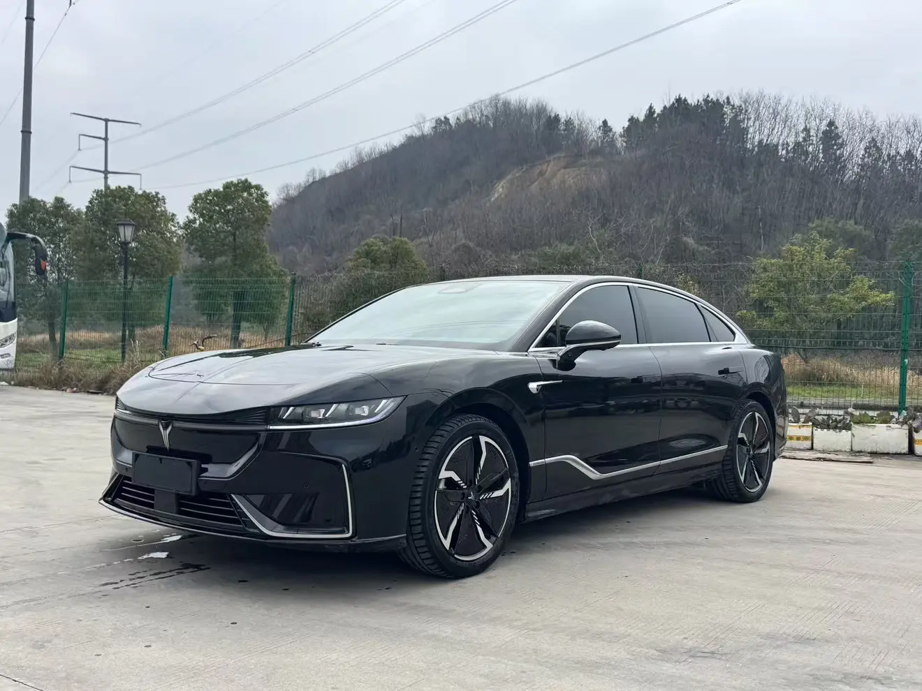 Voyah Passion EV  из Китая