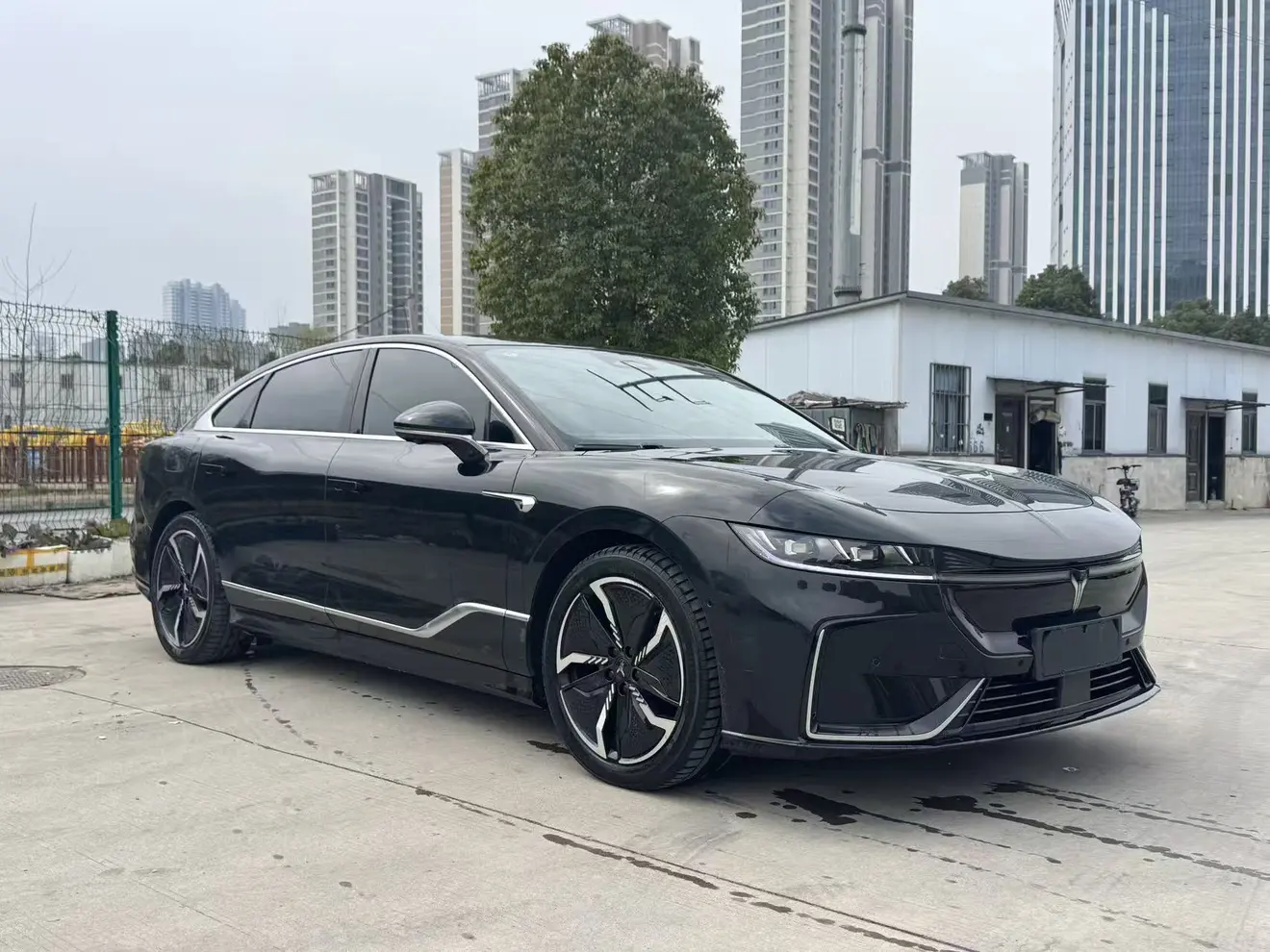 Voyah Passion EV  из Китая