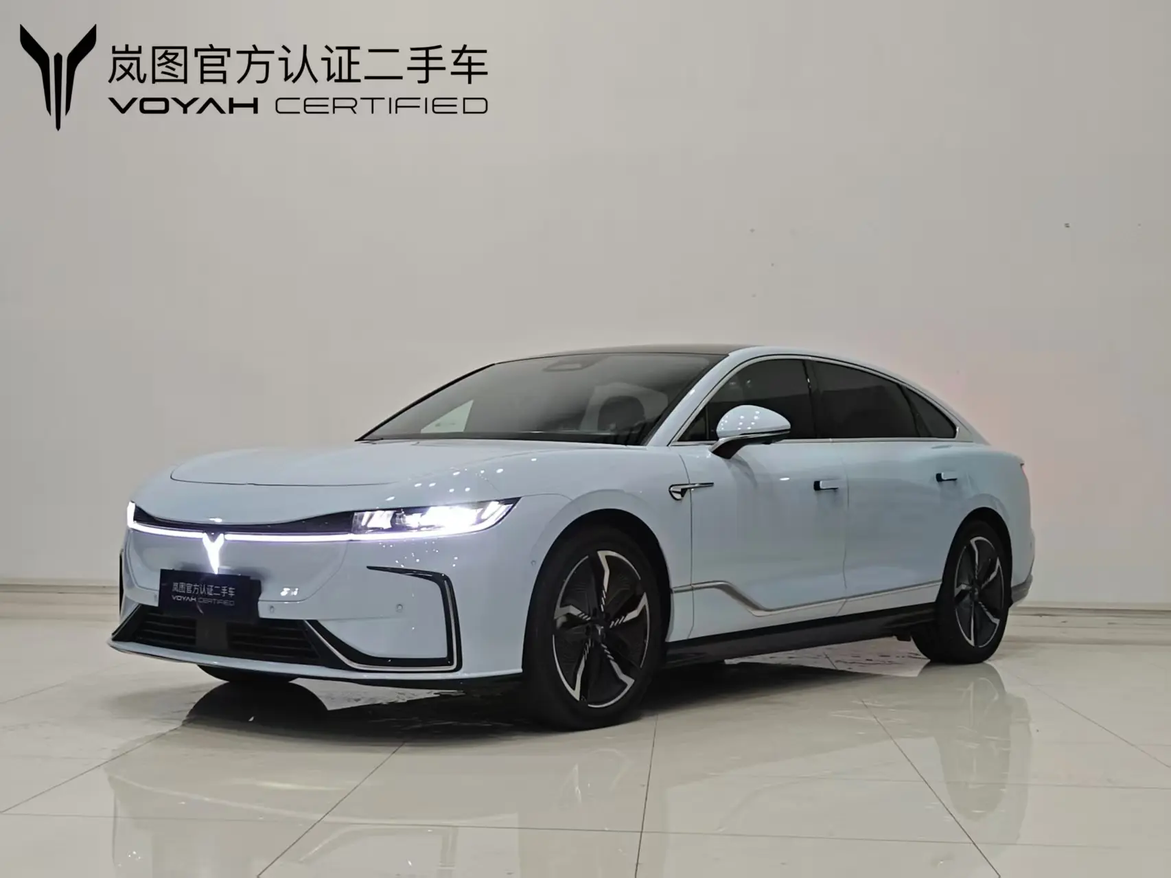 Voyah Passion EV  из Китая