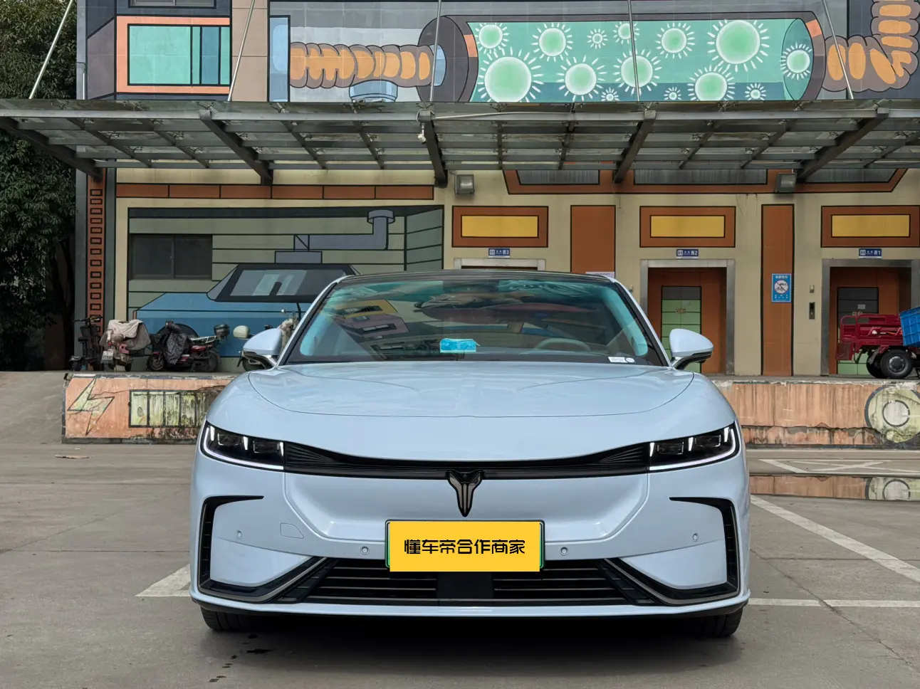 Voyah Passion EV  из Китая