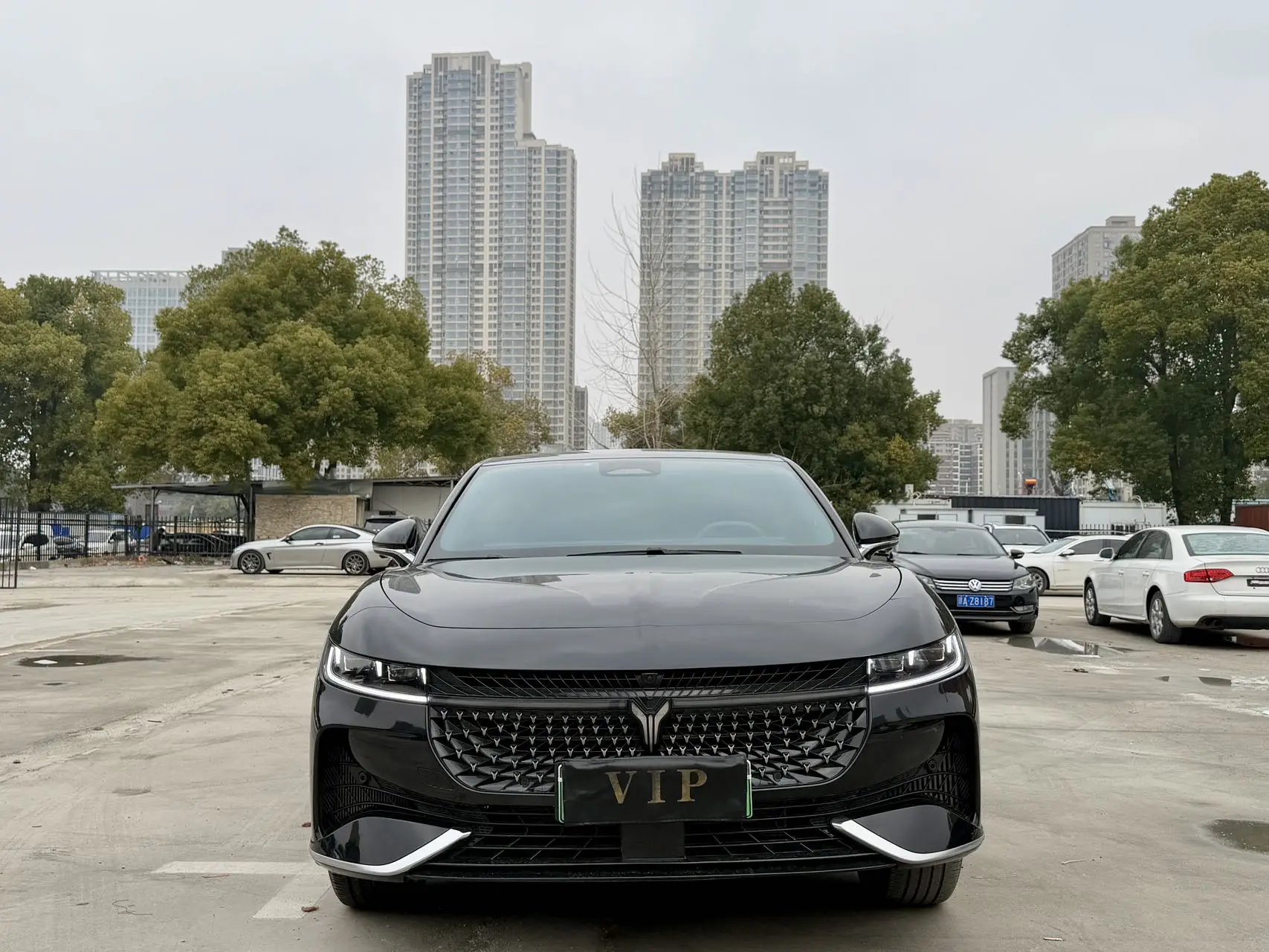 Voyah Passion PHEV  из Китая