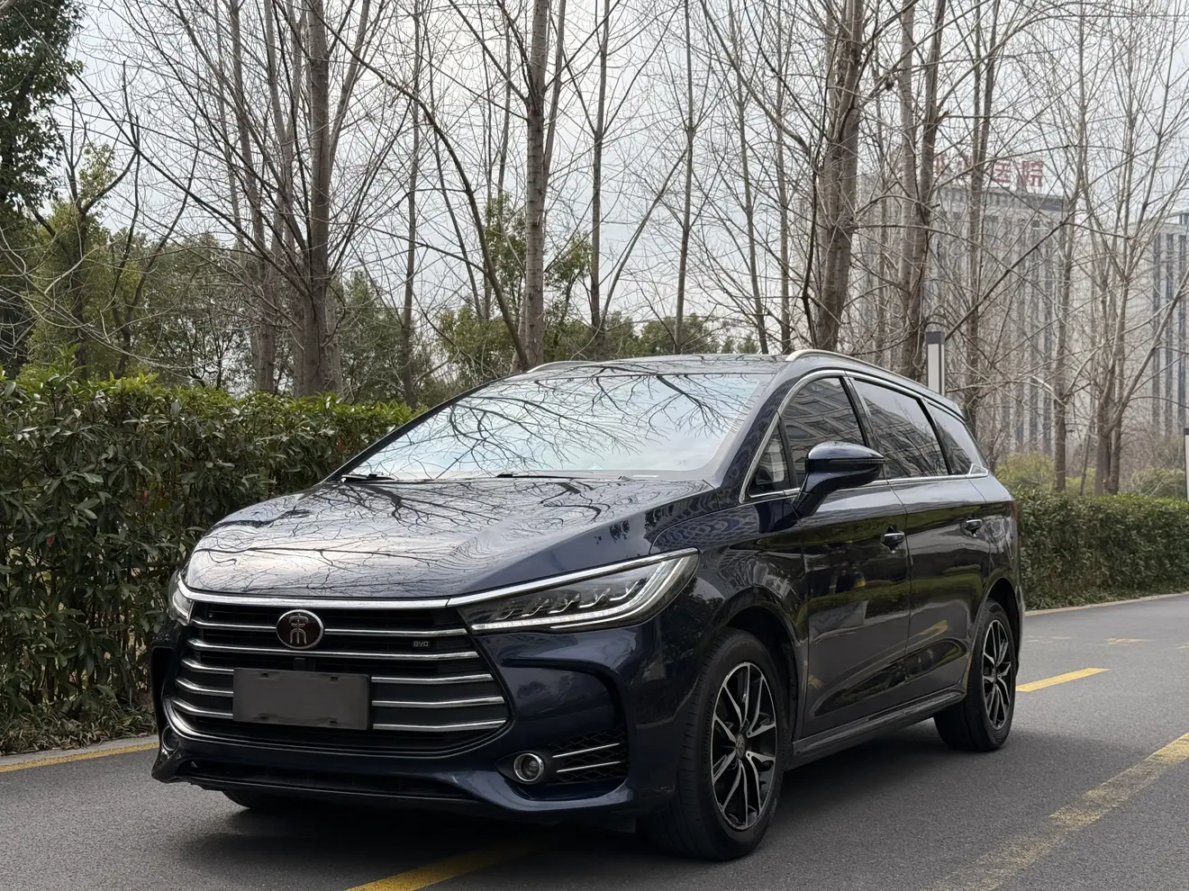 BYD Song MAX  из Китая