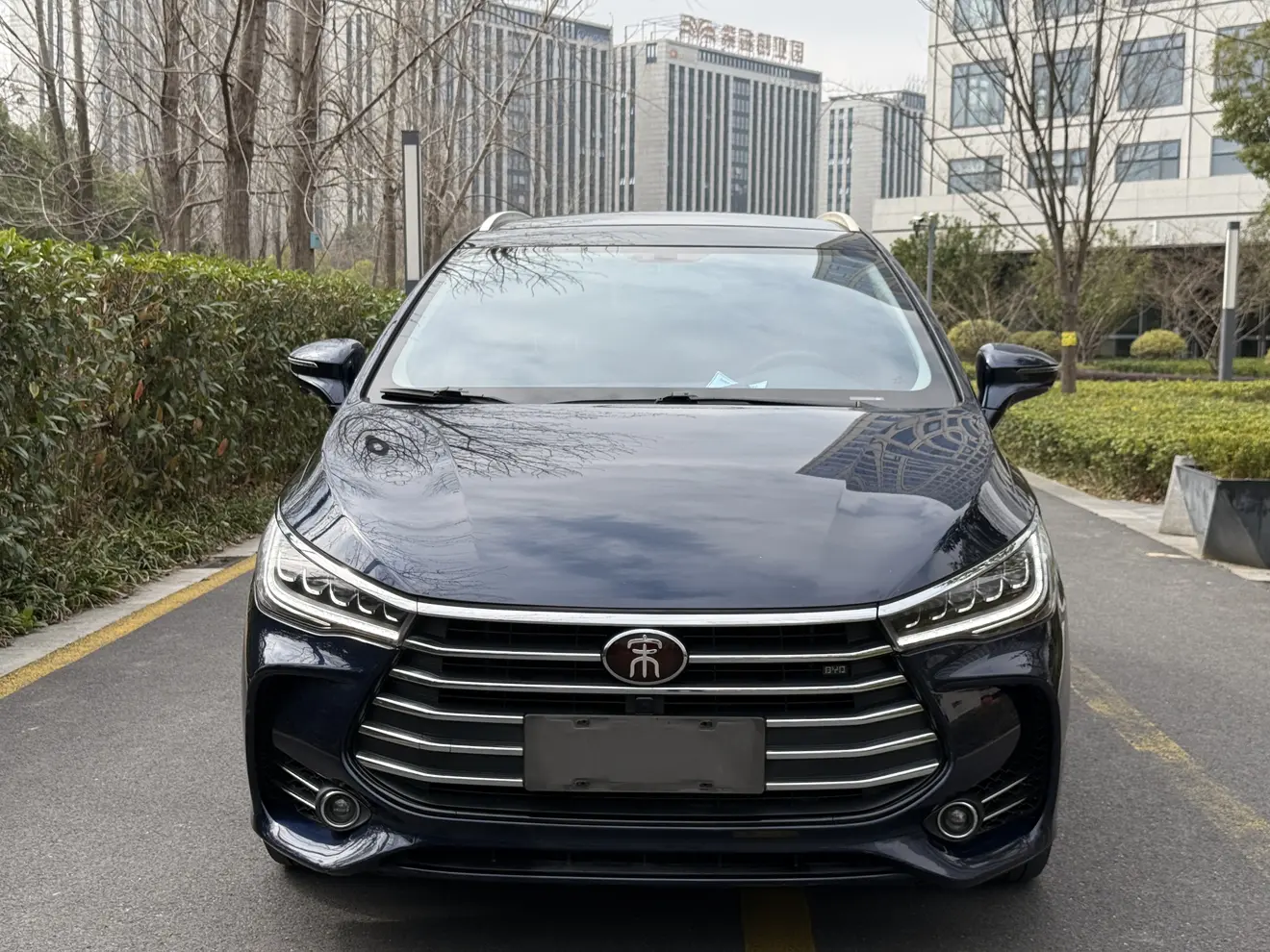 BYD Song MAX  из Китая