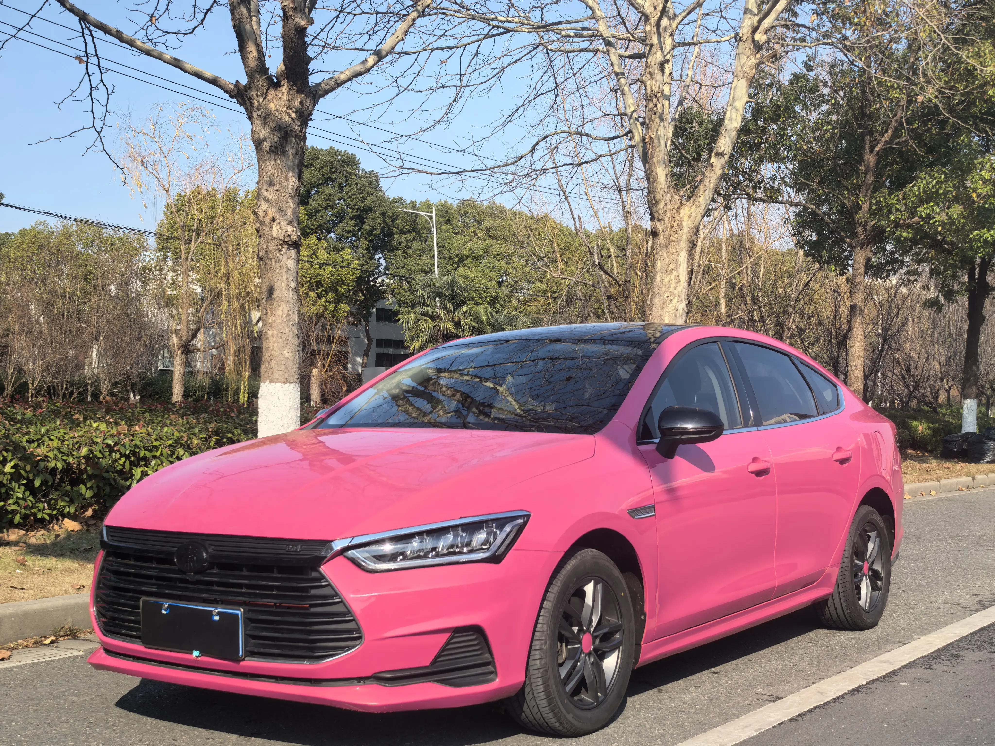 BYD Qin Pro  из Китая