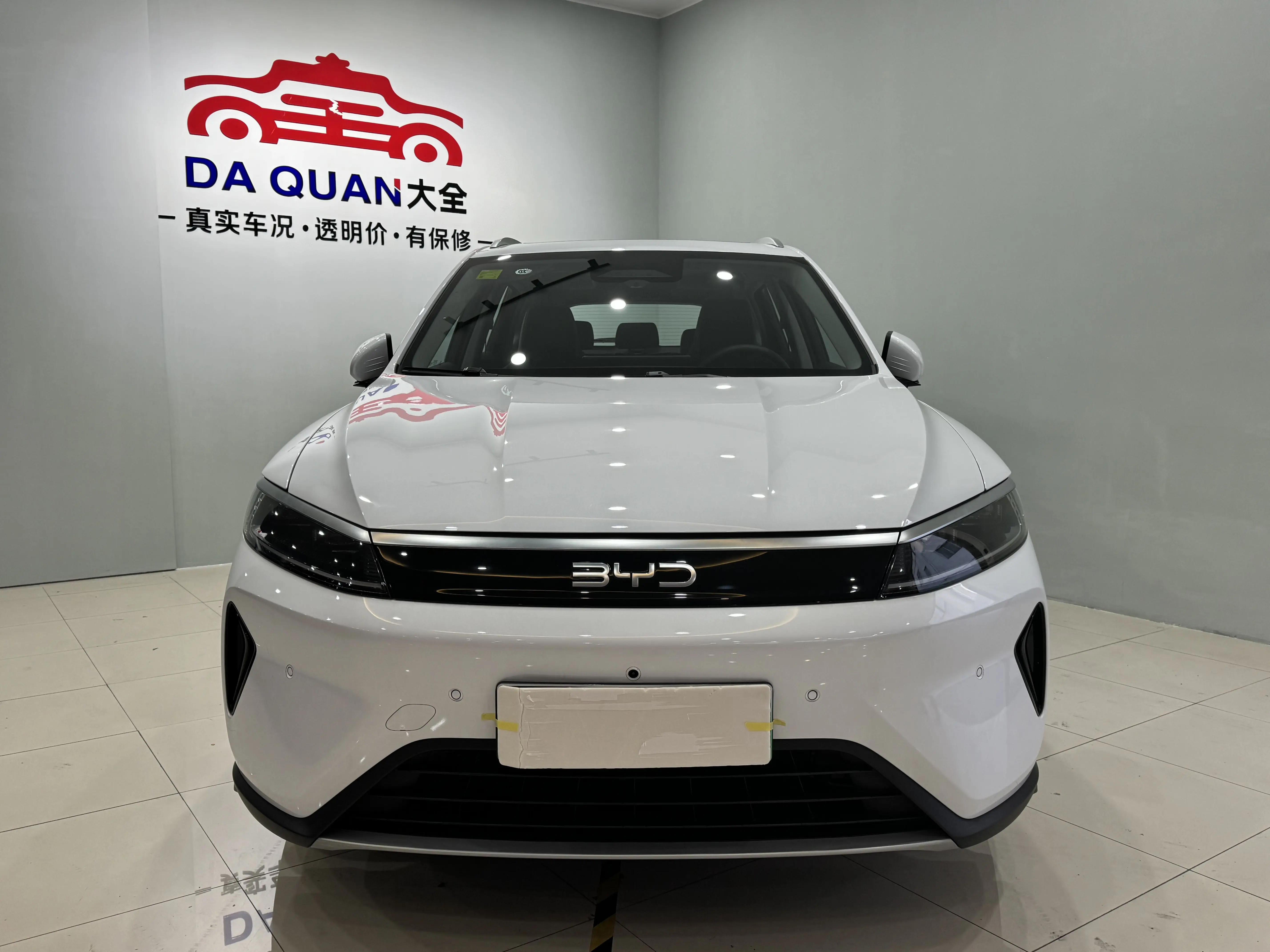 BYD Sea Lion 05DM  из Китая