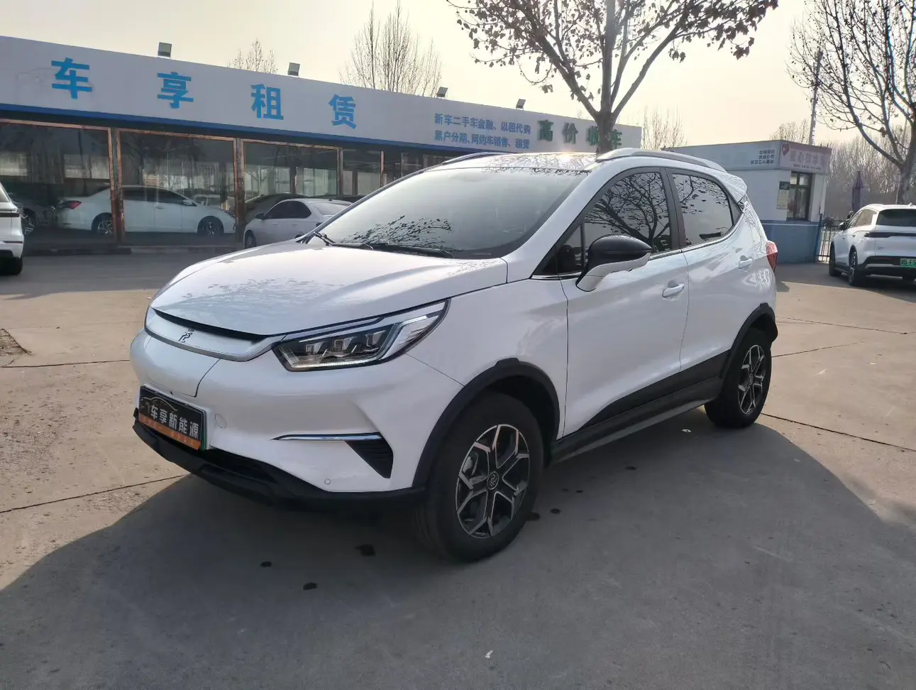 BYD Yuan Pro  из Китая