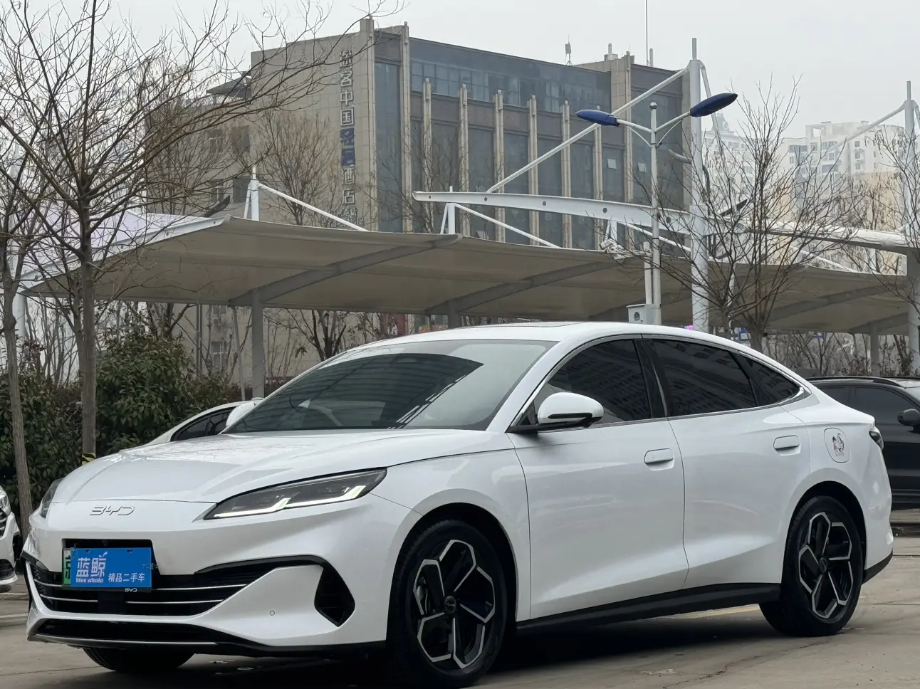 BYD Seal 06DM  из Китая