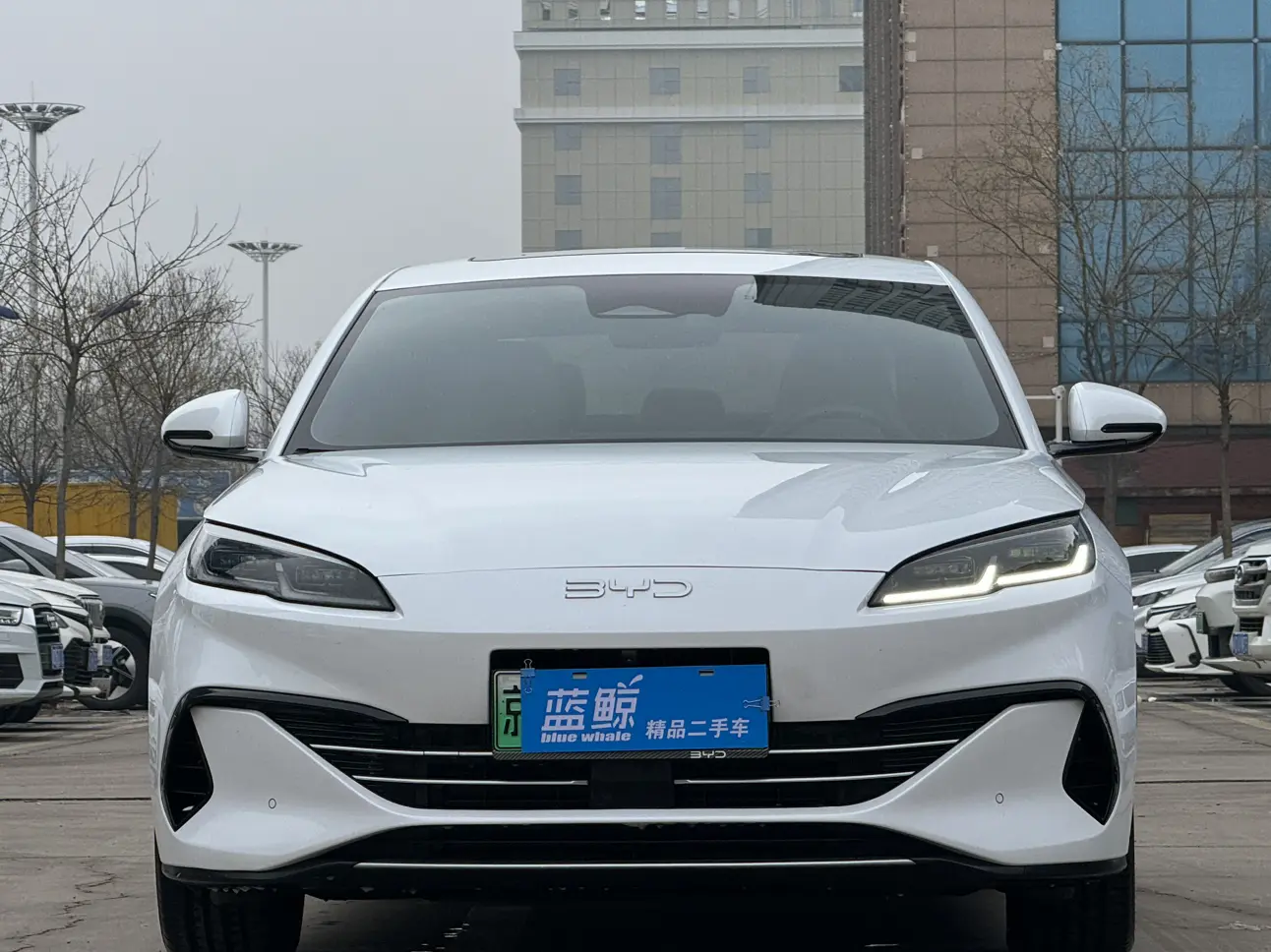 BYD Seal 06DM  из Китая