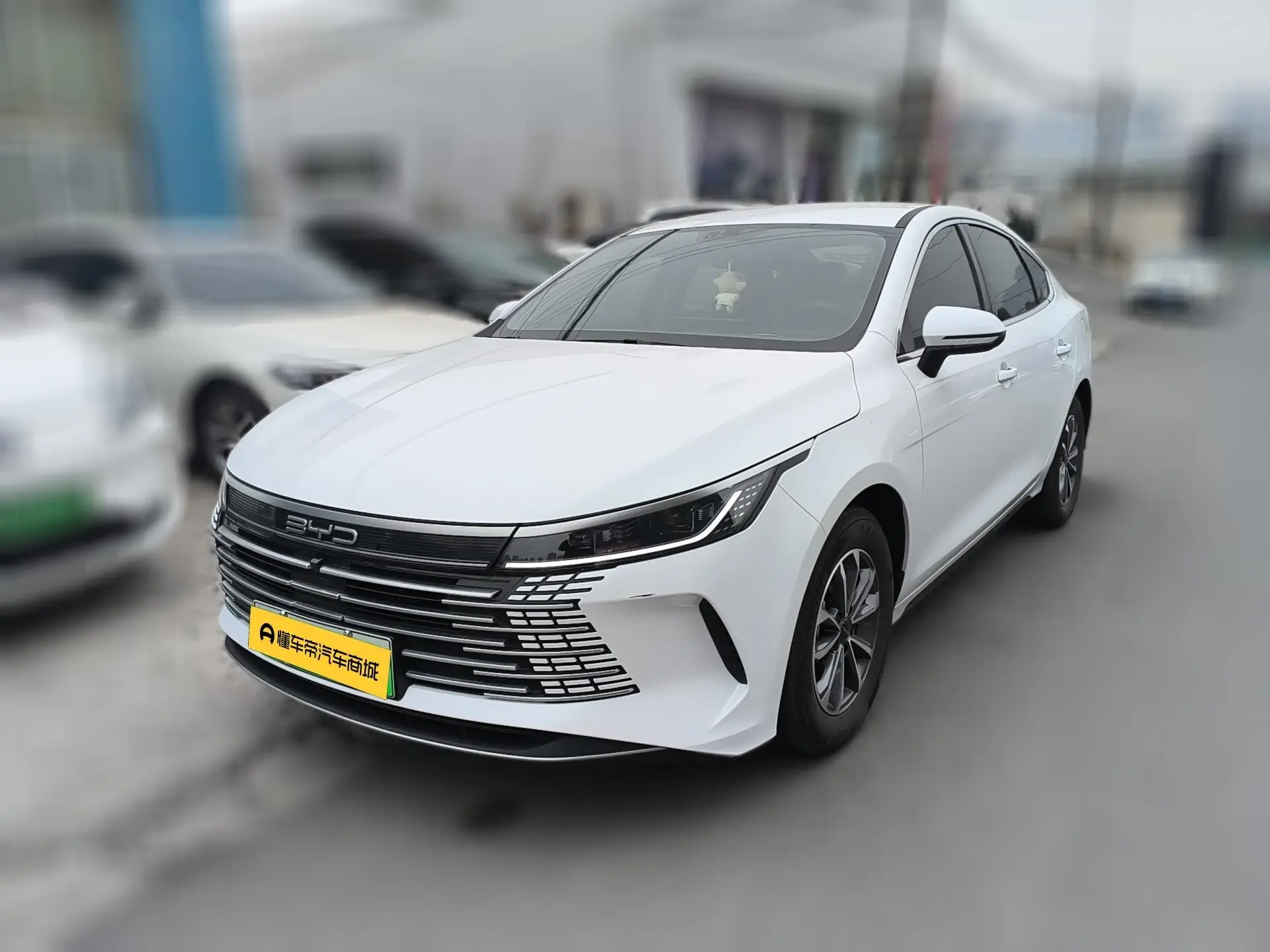 BYD Destroyer 05  из Китая