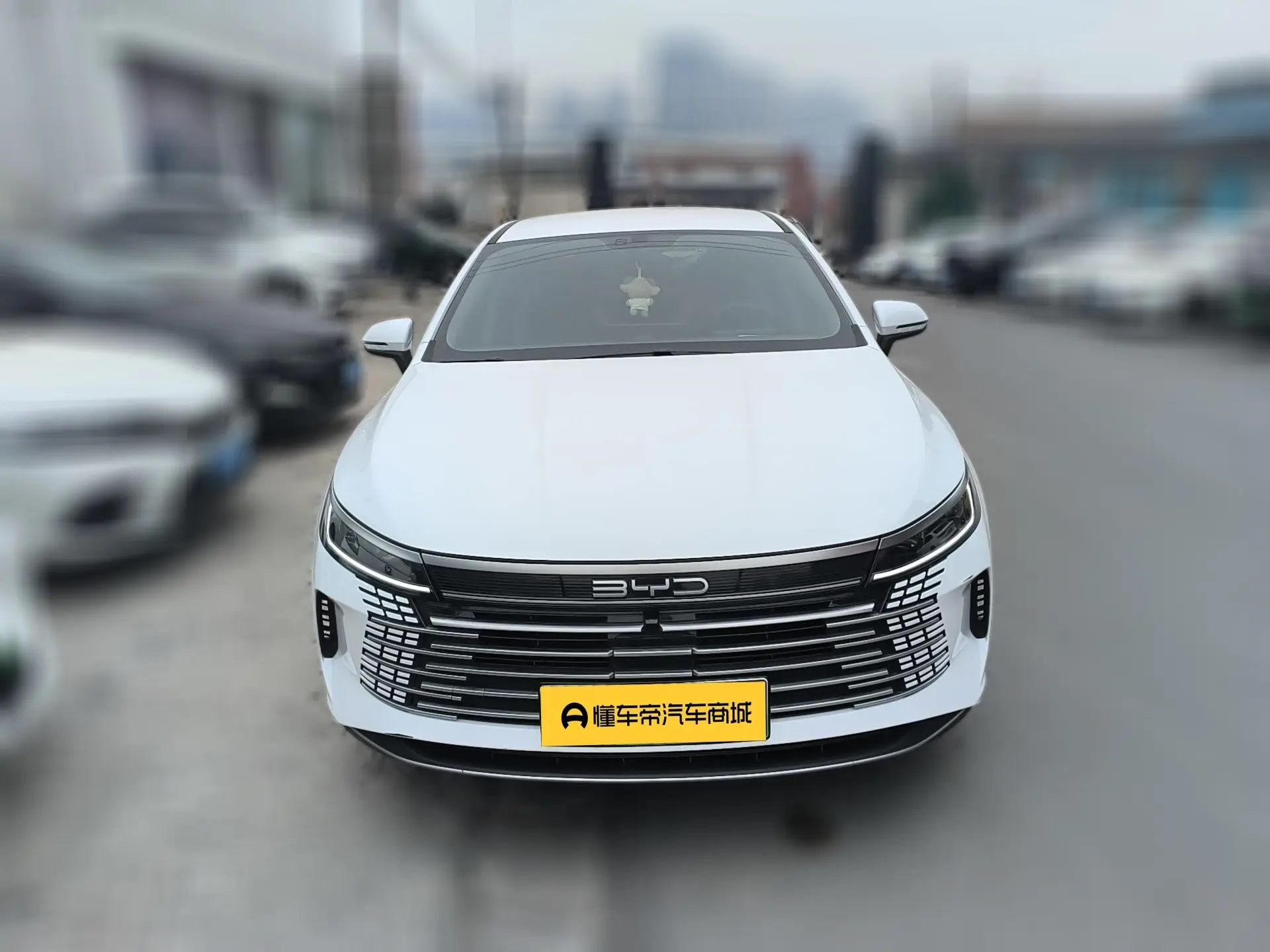 BYD Destroyer 05  из Китая