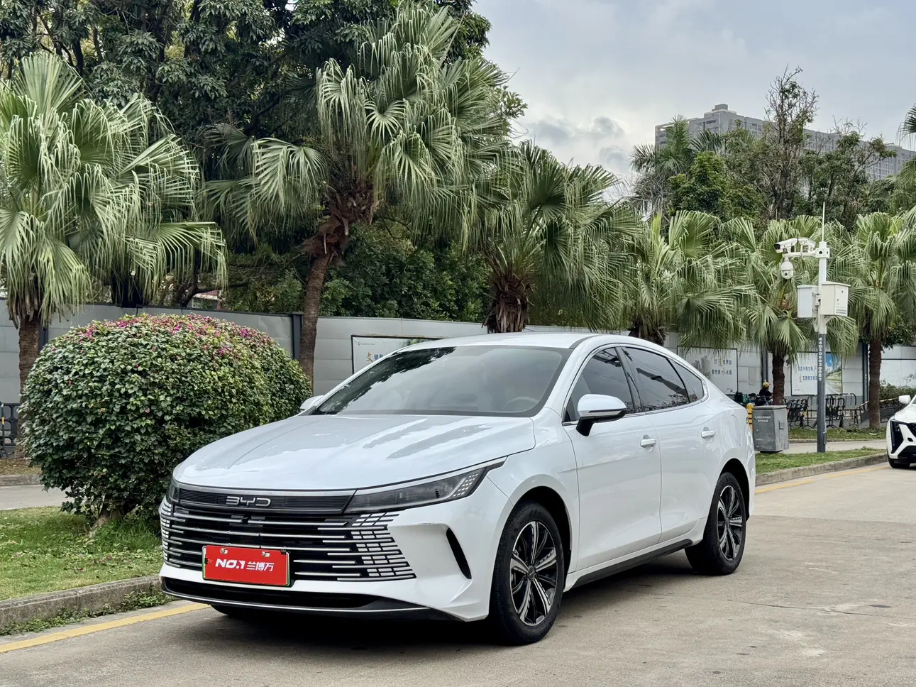 BYD Destroyer 05  из Китая