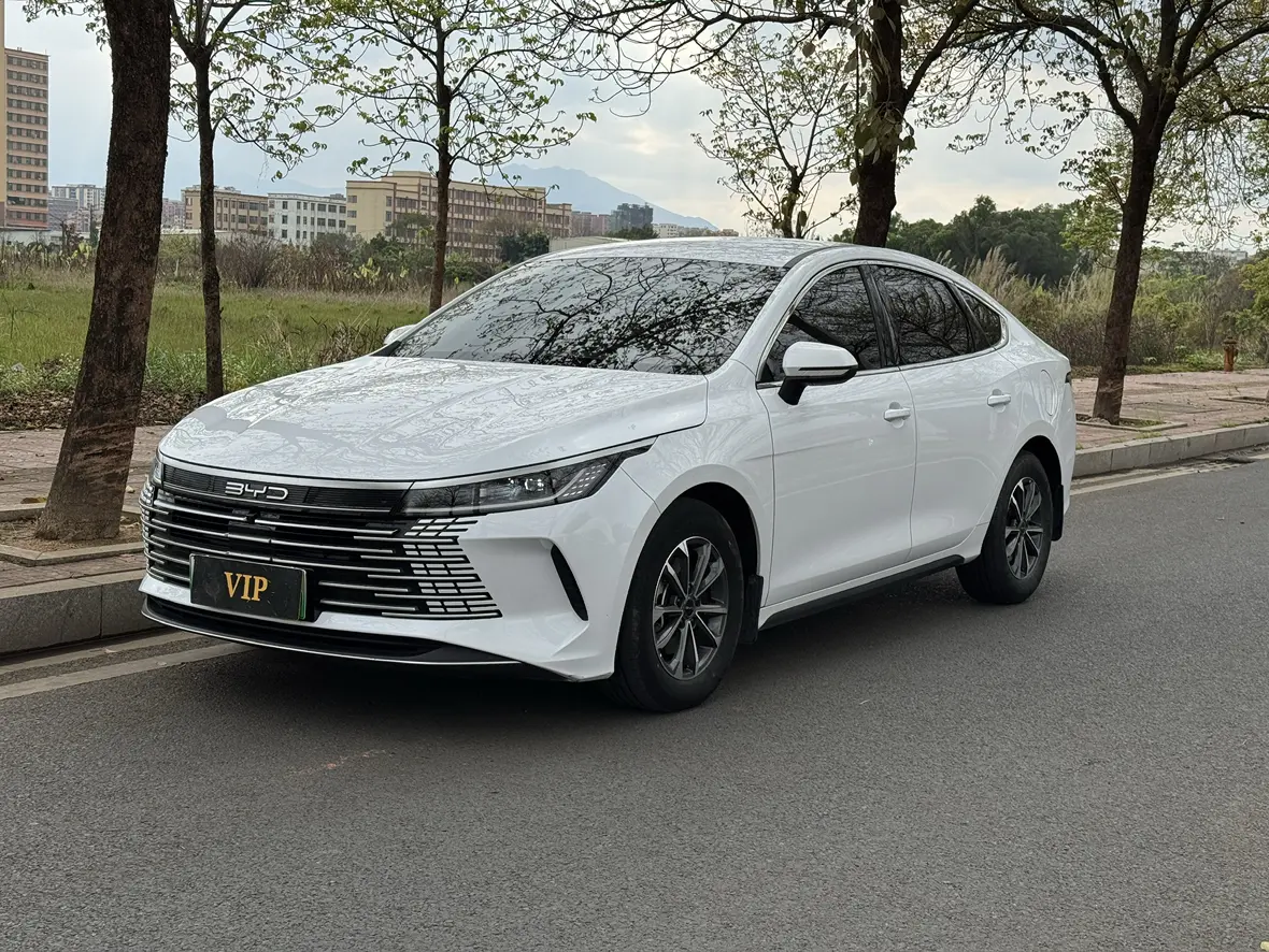 BYD Destroyer 05  из Китая