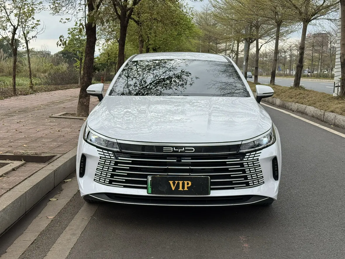 BYD Destroyer 05  из Китая