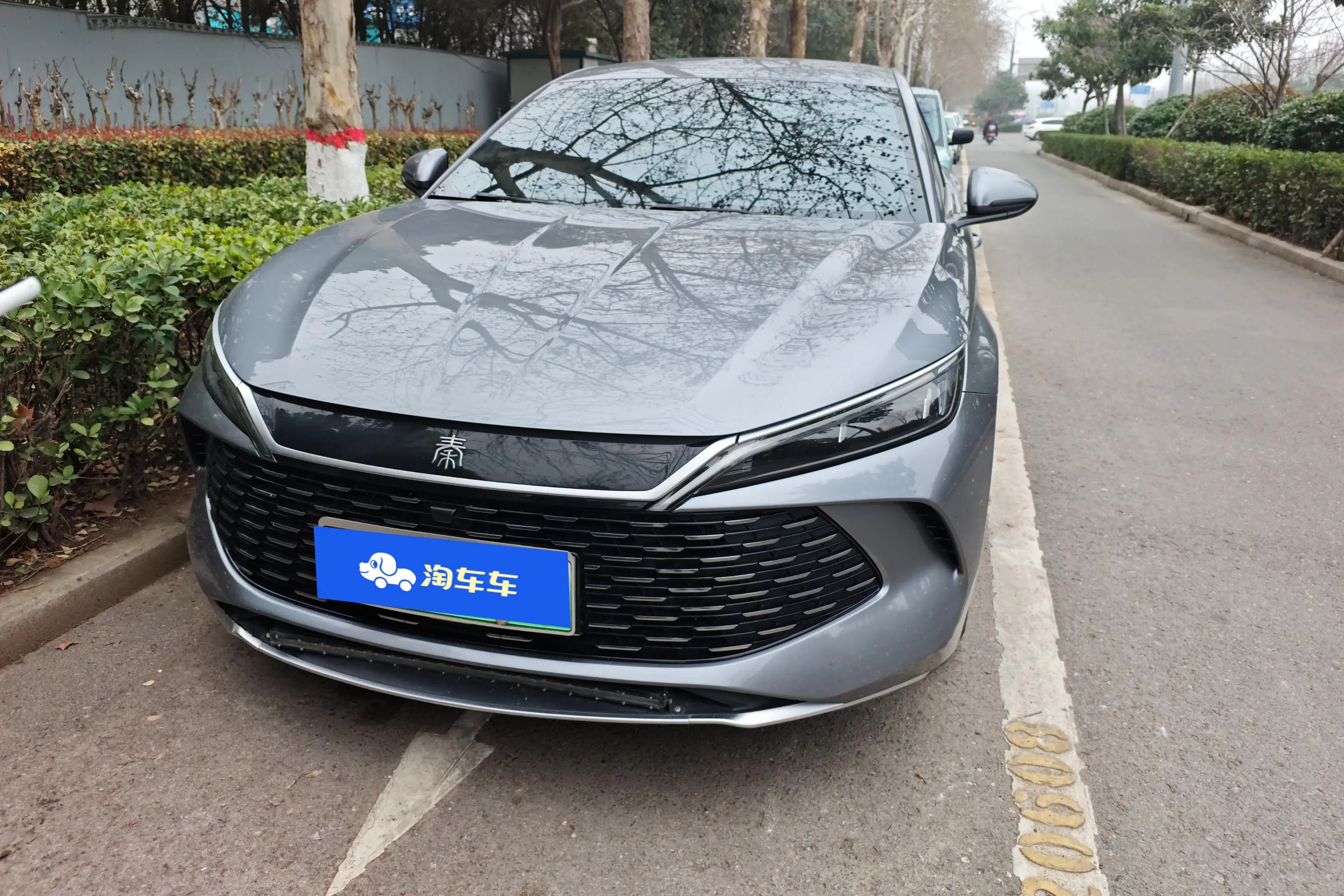 BYD Qin L DM  из Китая